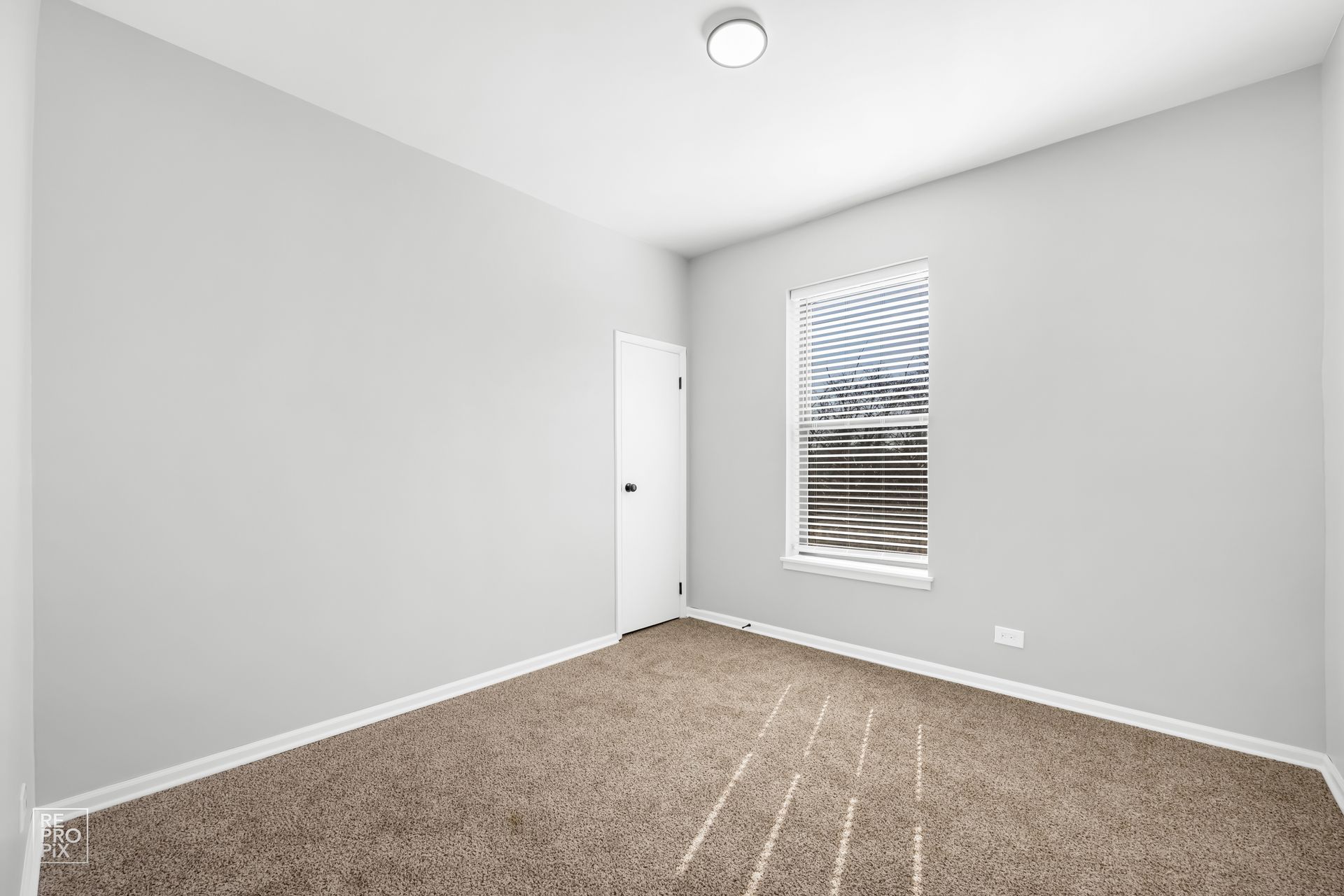 Empty room with light gray walls, white door and window, and brown carpet.