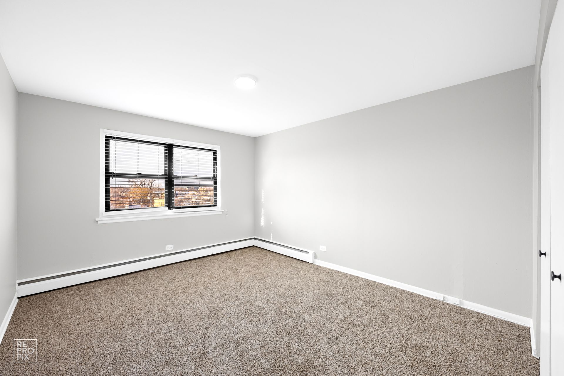 Empty bedroom with gray walls, window, carpet, and white door.