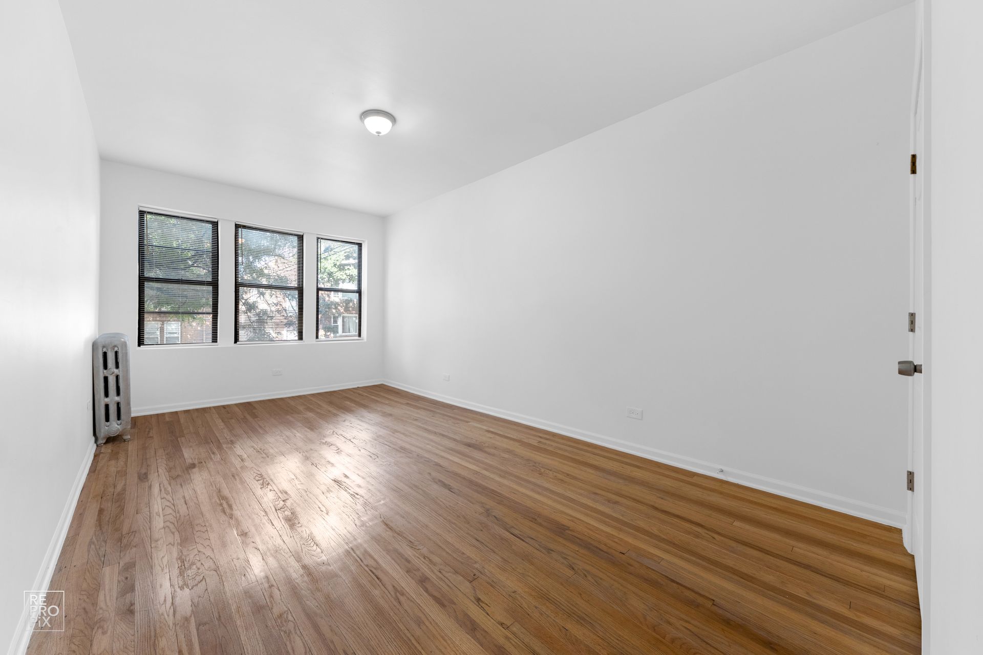 Empty room with wood floors, three windows, radiator, and white walls.