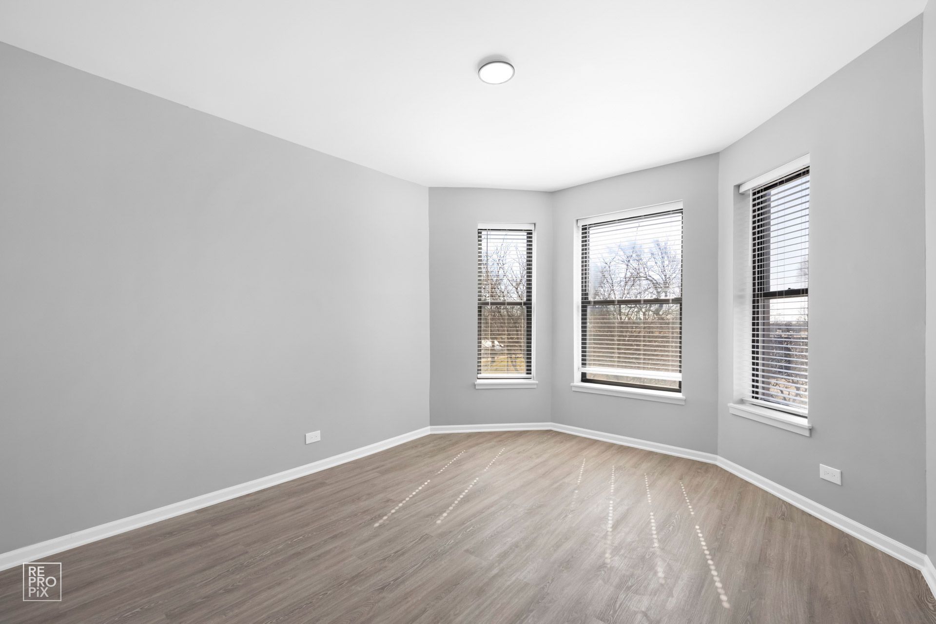 Empty room with gray walls, three windows, and wood-look flooring.