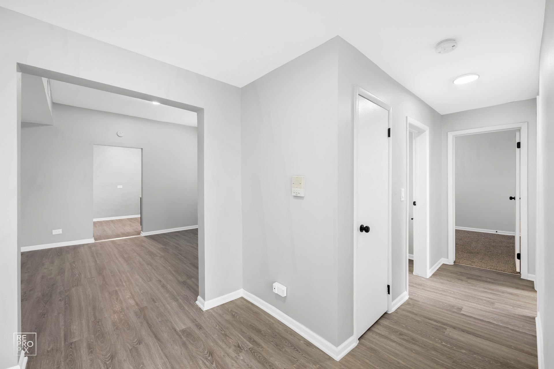 Interior hallway with gray walls, wood-look flooring, and doors.