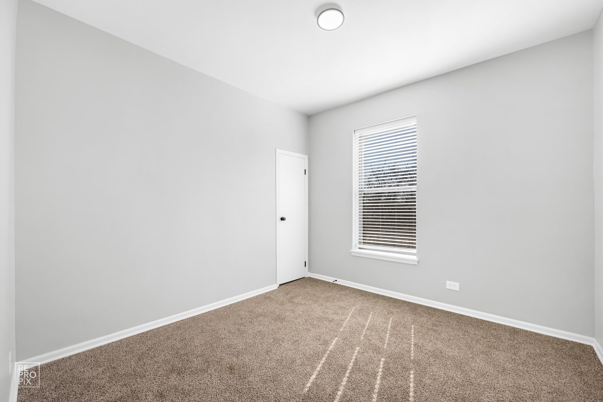 Empty room with gray walls, a window, door, and brown carpet.