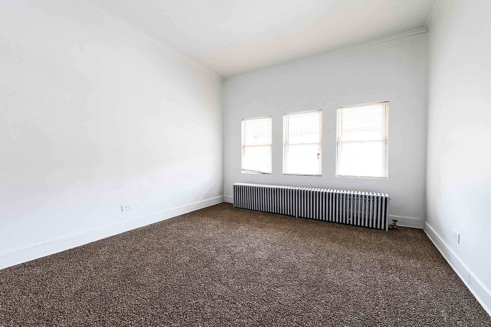 Empty room with brown carpet, white walls, three windows, and radiator.