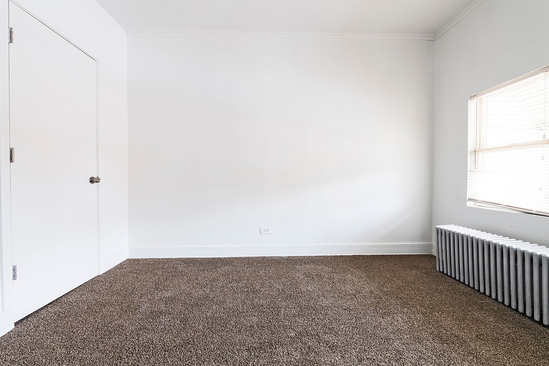 Empty white room with brown carpet, door, window, and radiator.
