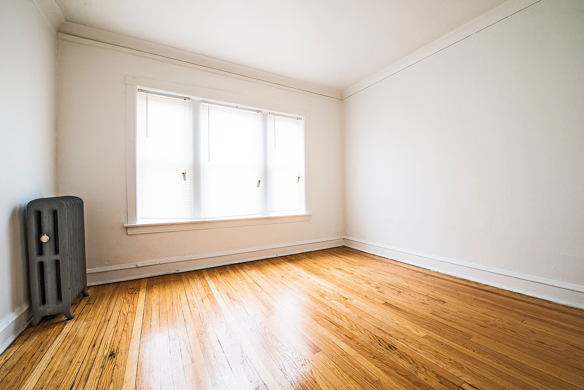 Empty room with hardwood floors, a window with blinds, and a radiator.