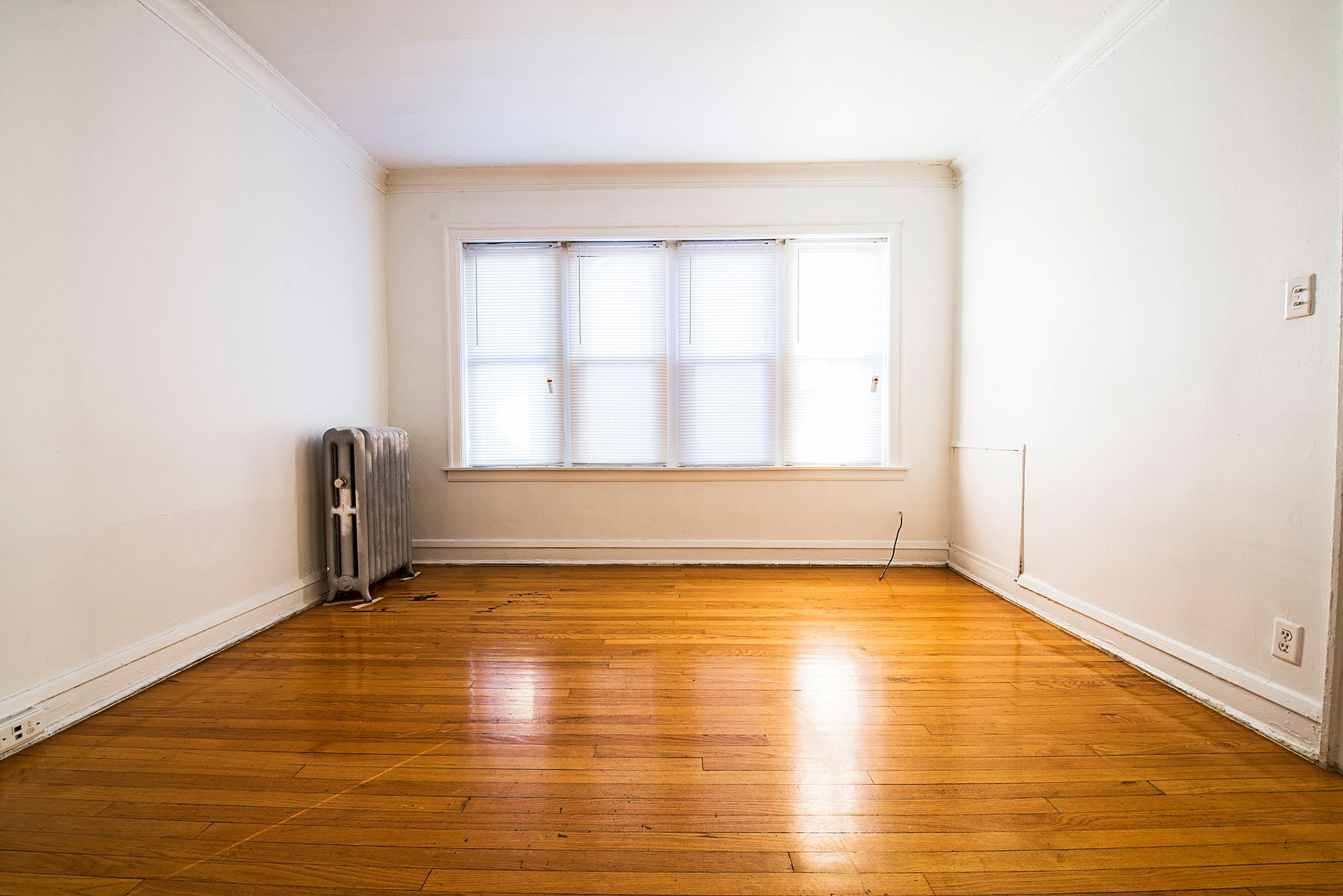 Empty room with hardwood floors, a radiator, and a window with blinds.