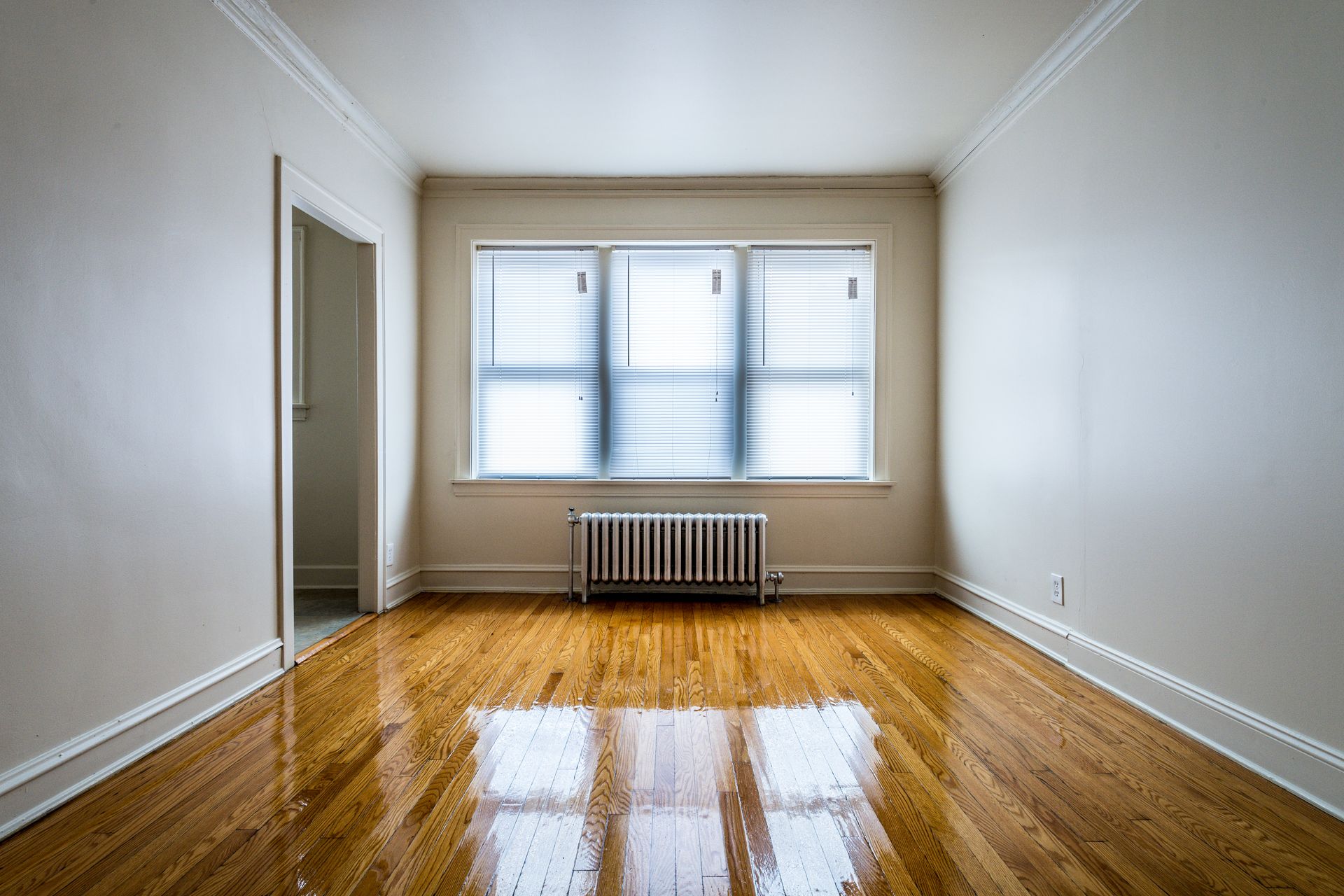 Empty room with hardwood floors, a window with blinds, and a radiator below.