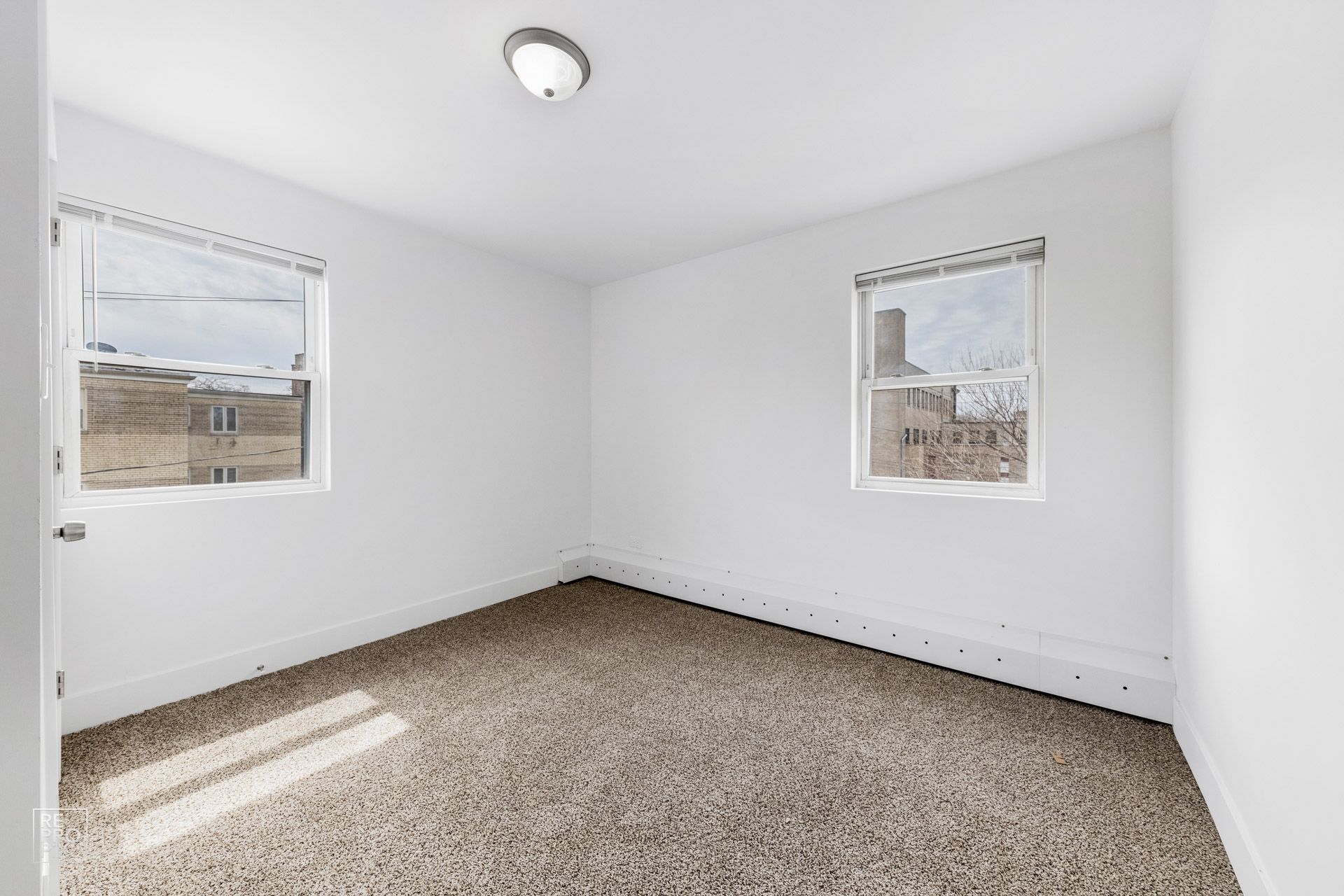 Empty, white-walled room with two windows, carpeted floor. Sunlight streams in.