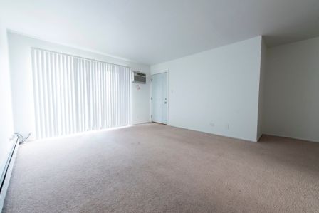 Empty room with beige carpet, white walls, and a sliding glass door with vertical blinds.