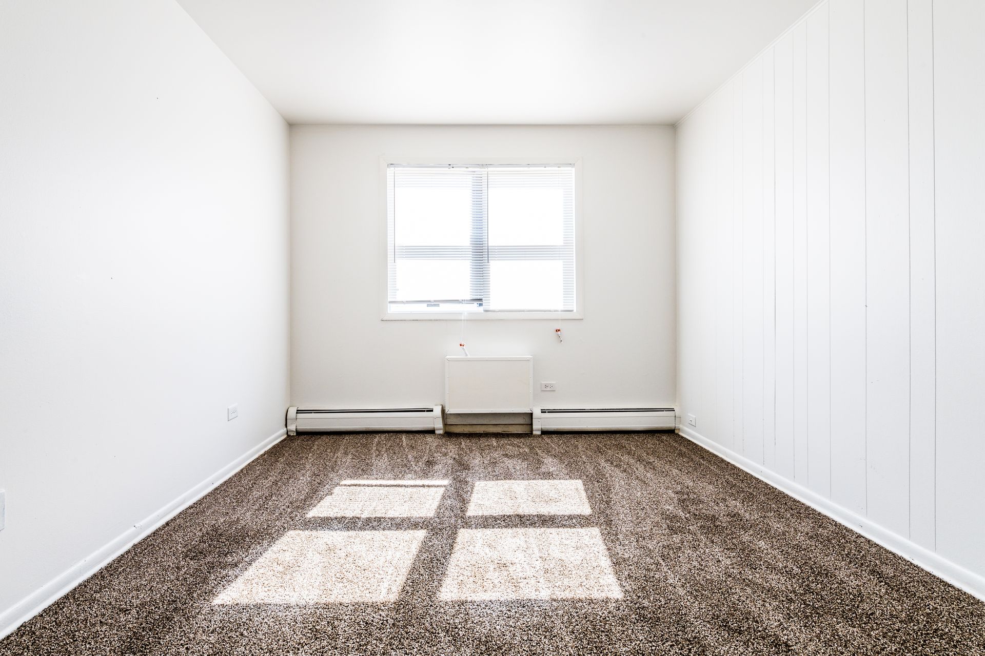 Empty room with white walls, carpet, and a window with sunlight.