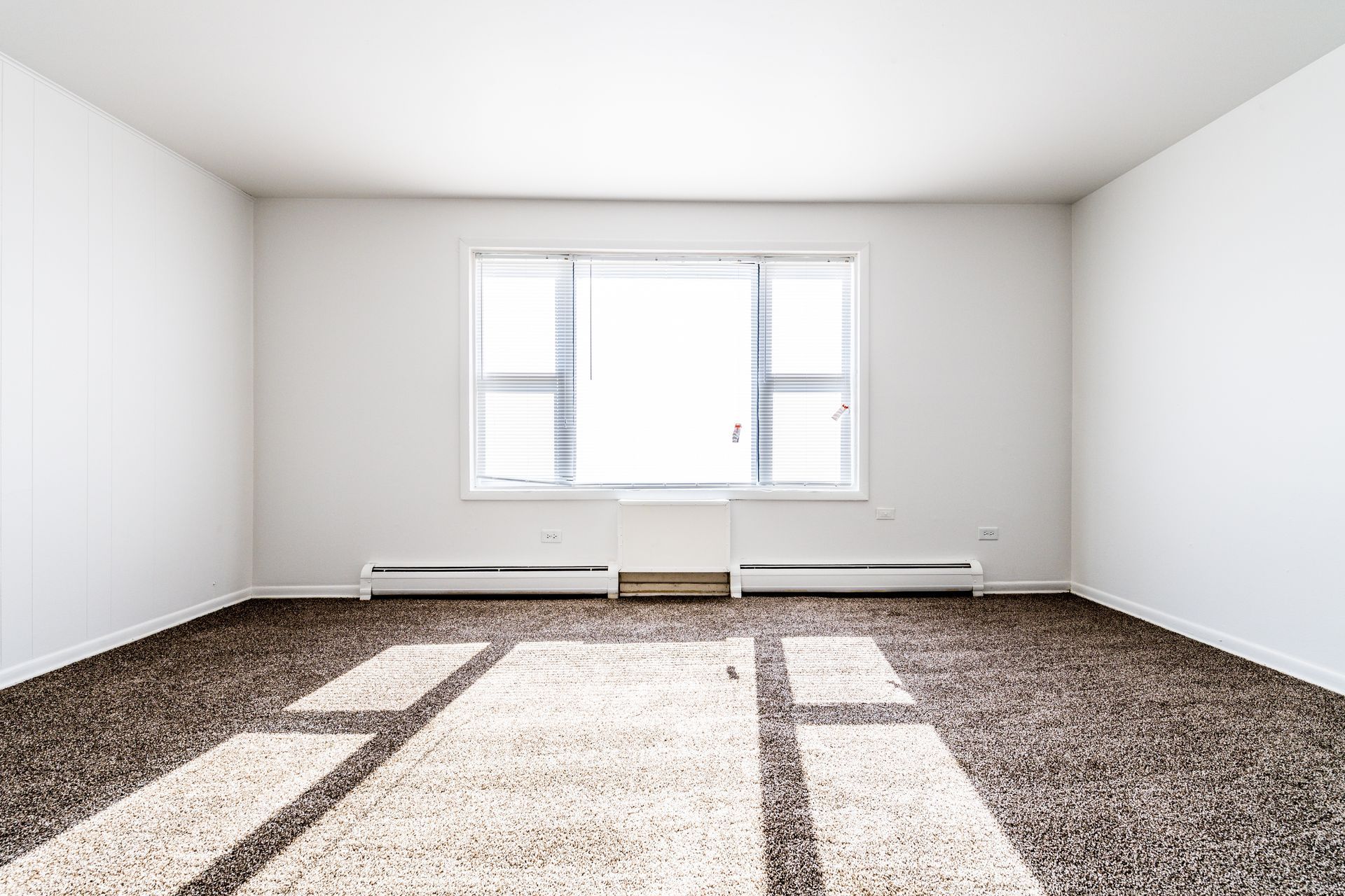 Empty room with brown carpet, white walls, a window with blinds, and sunlight.