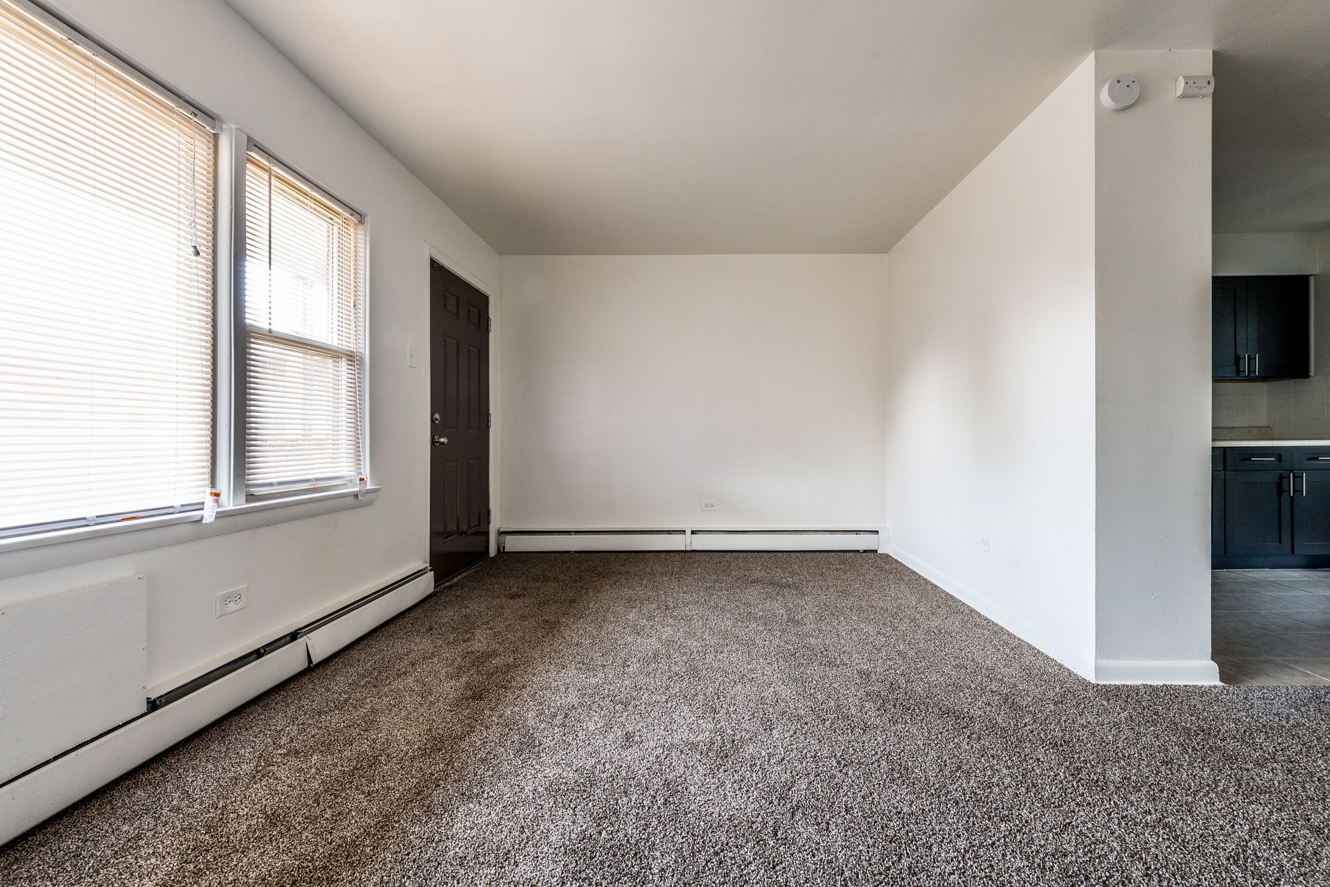Empty room with carpet, two windows, and a doorway. White walls, neutral tones.