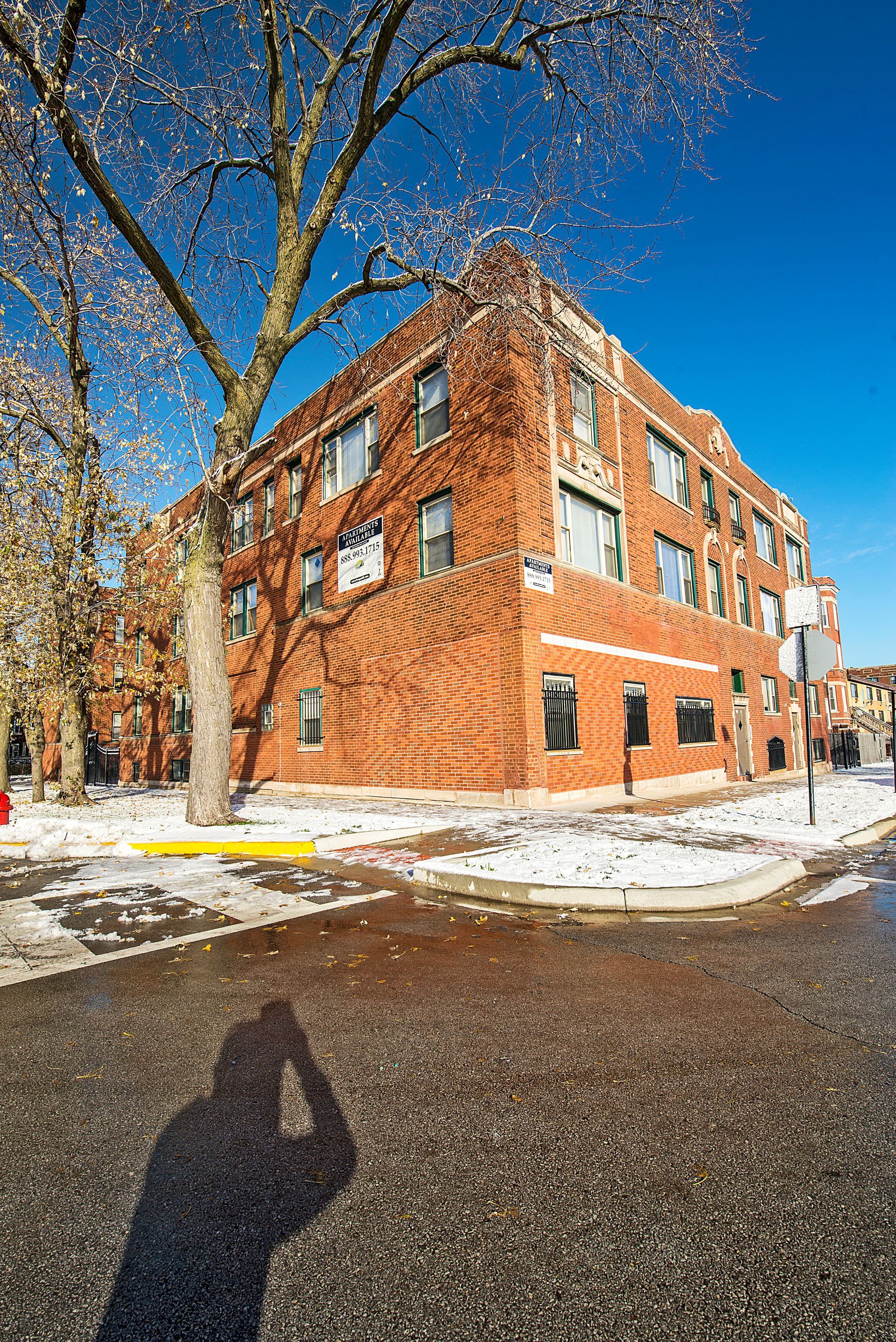 Red brick apartment building, snow-covered ground, leafless tree, sunny winter day.