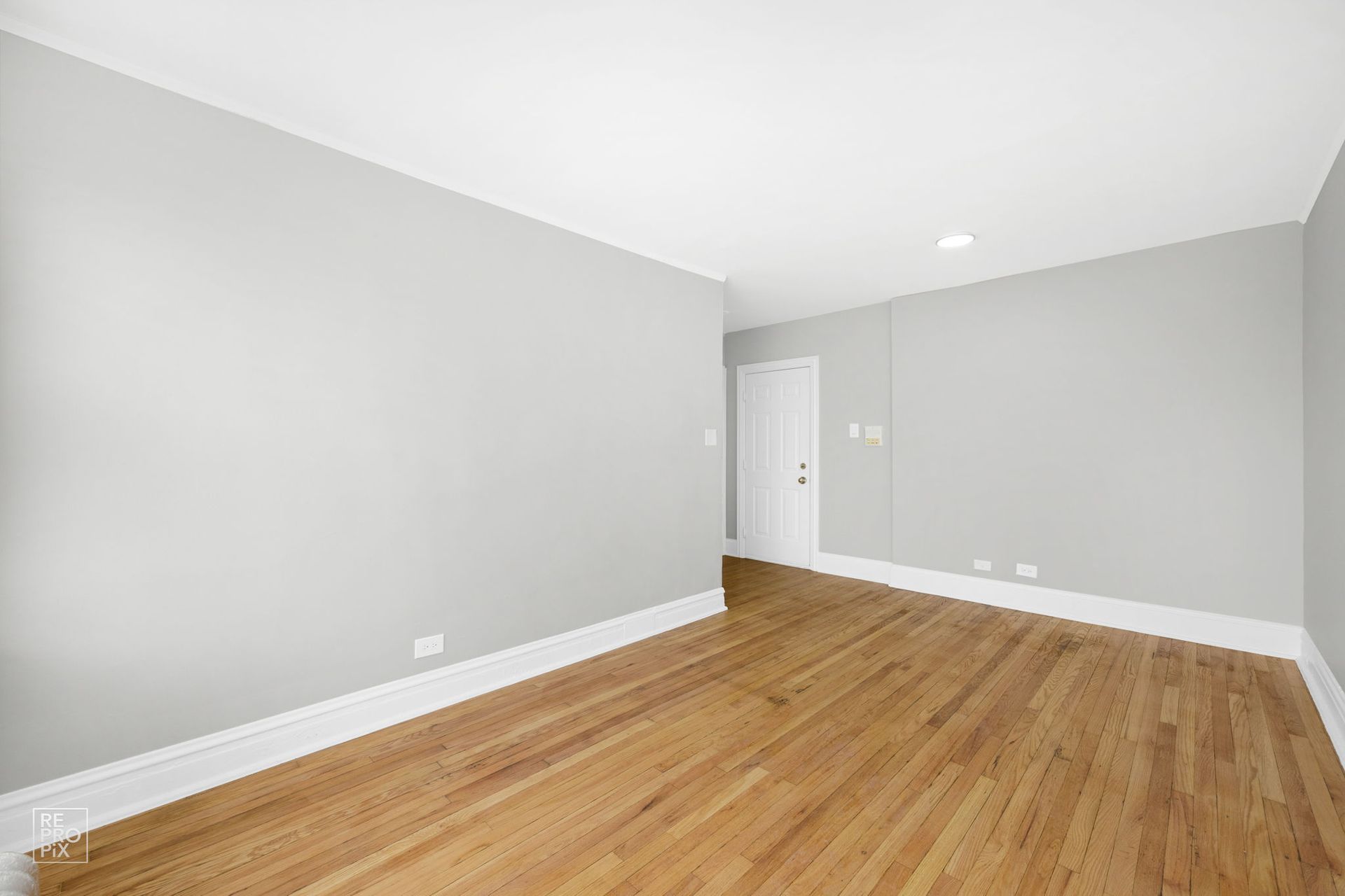 Empty room with hardwood floors, gray walls, and white trim.