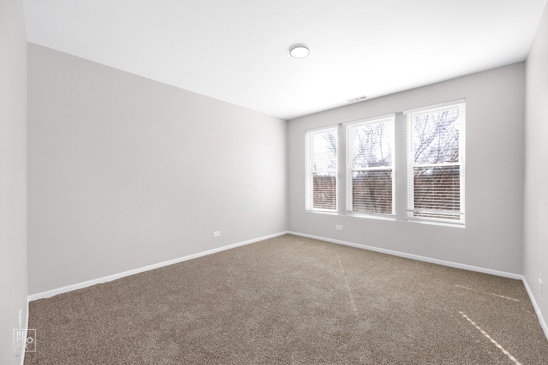 Empty room with brown carpet, three windows, and white walls and ceiling.