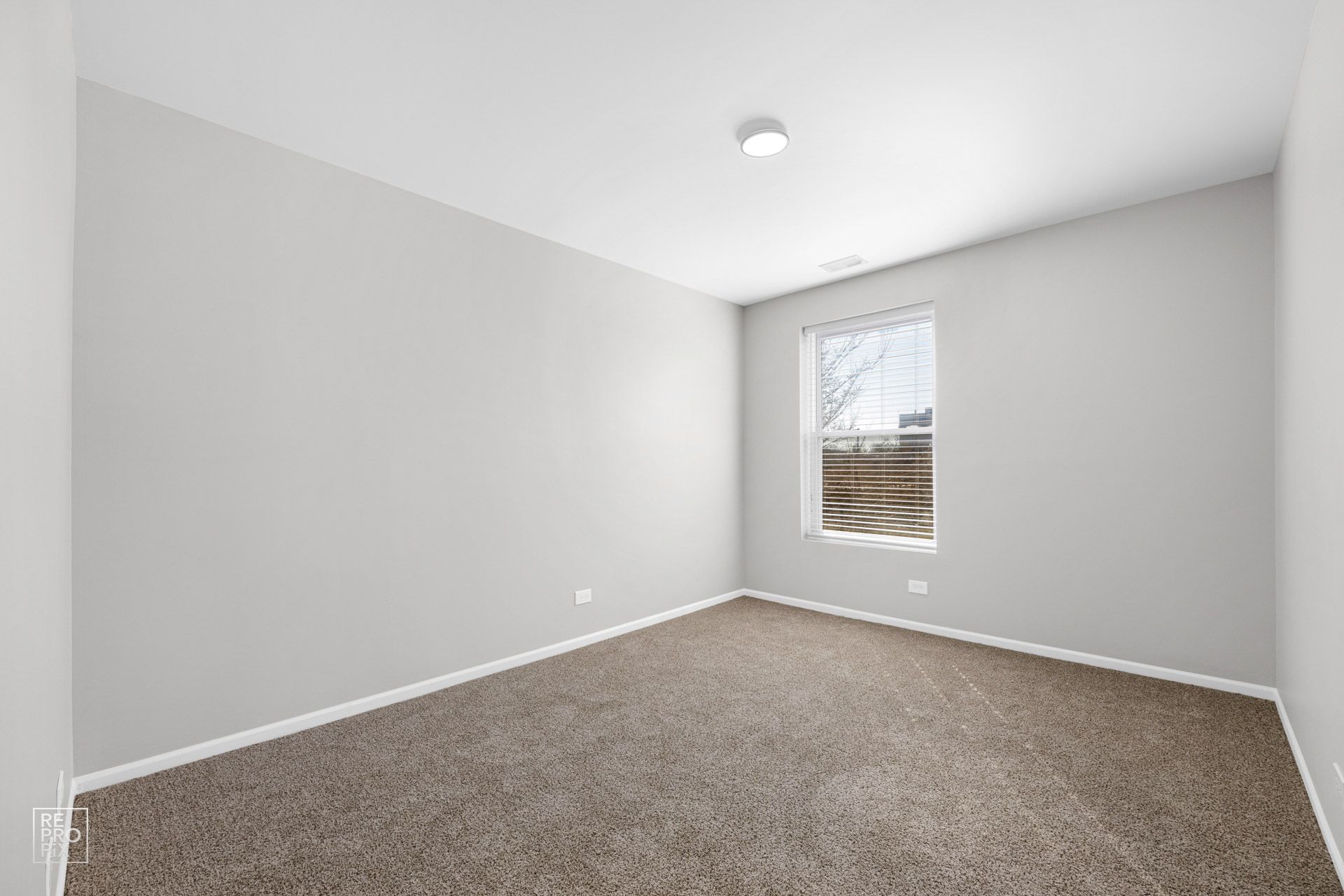 Empty room with gray walls, a window, and brown carpet.