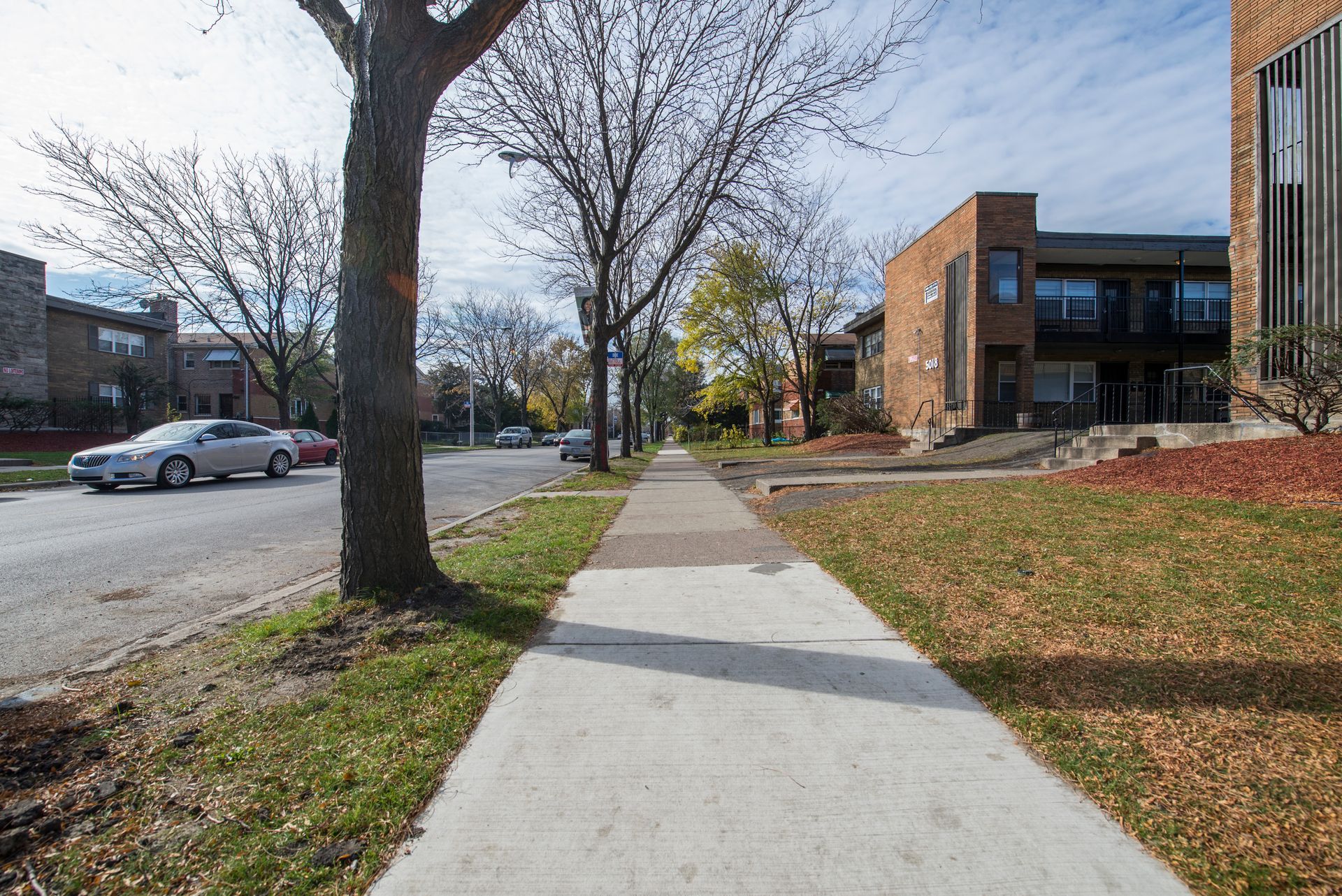 Sidewalk through a residential area with a tree, cars on the street, and buildings. Sunny day, some leaves on the ground.