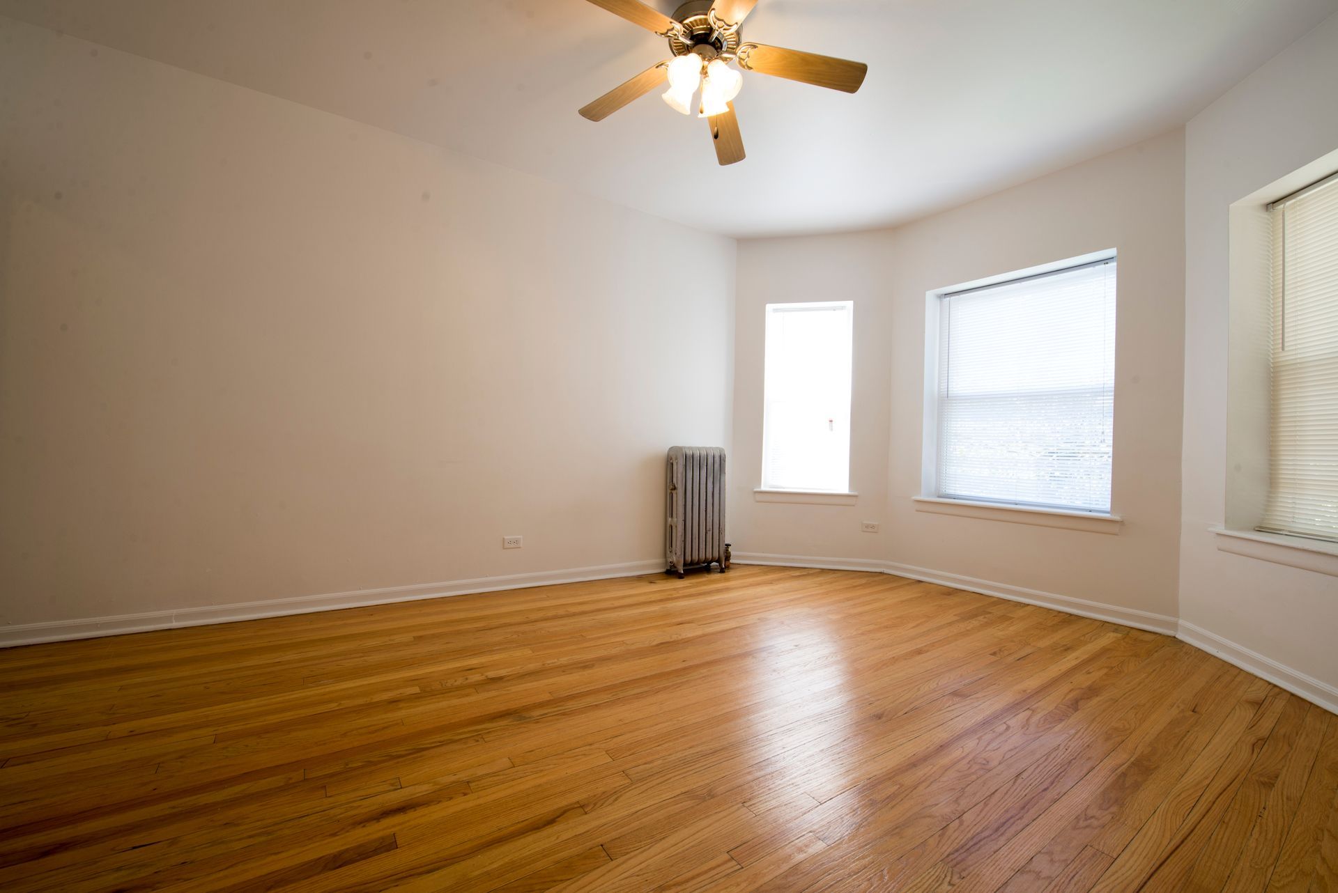 Empty room with hardwood floors, radiator, three windows, ceiling fan.