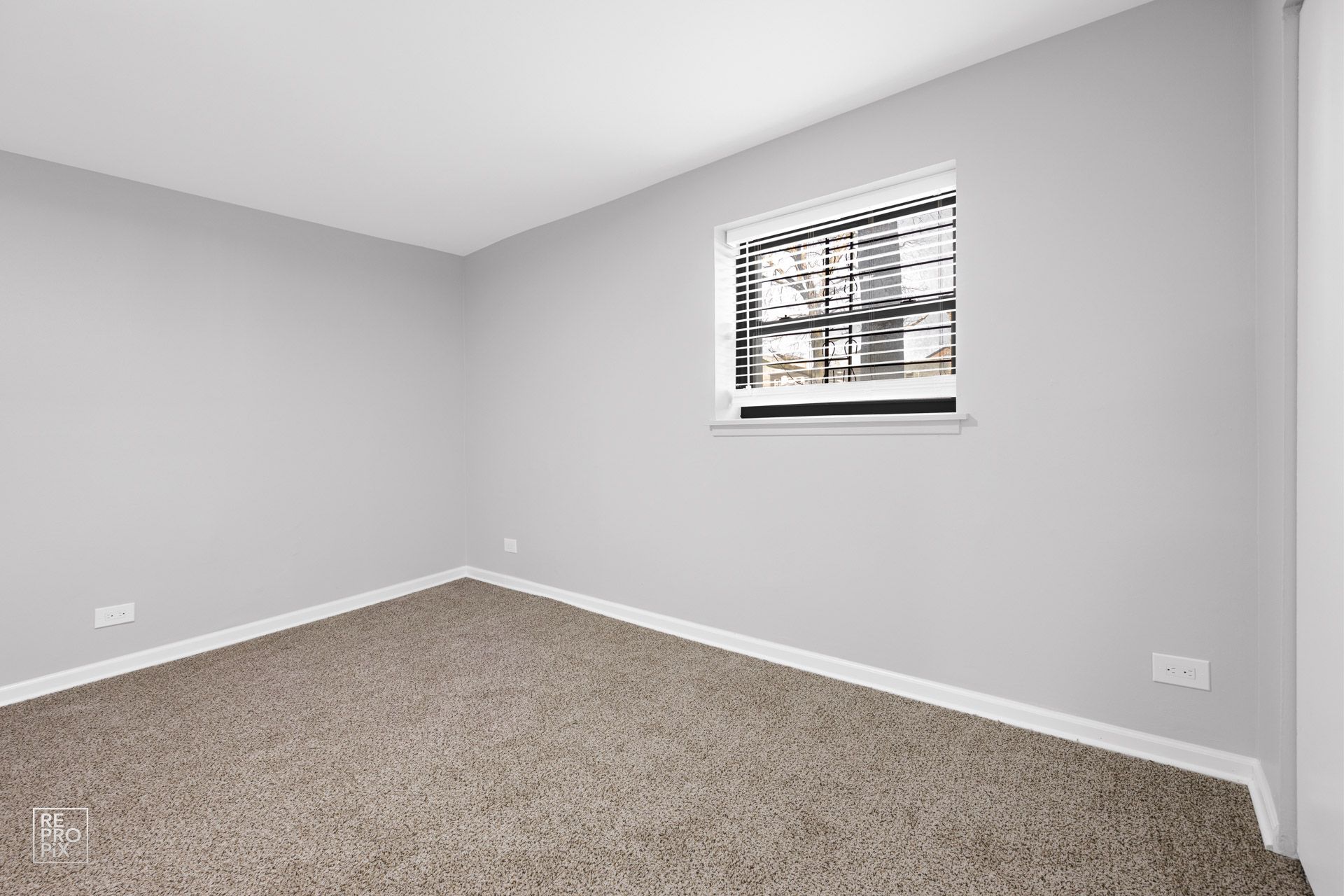 Empty room with gray walls, beige carpet, and a window with blinds.