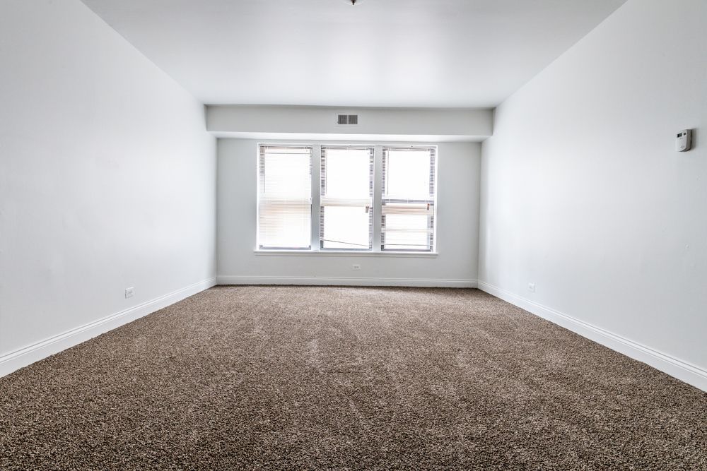Empty room with beige carpet, white walls, and a multi-pane window.