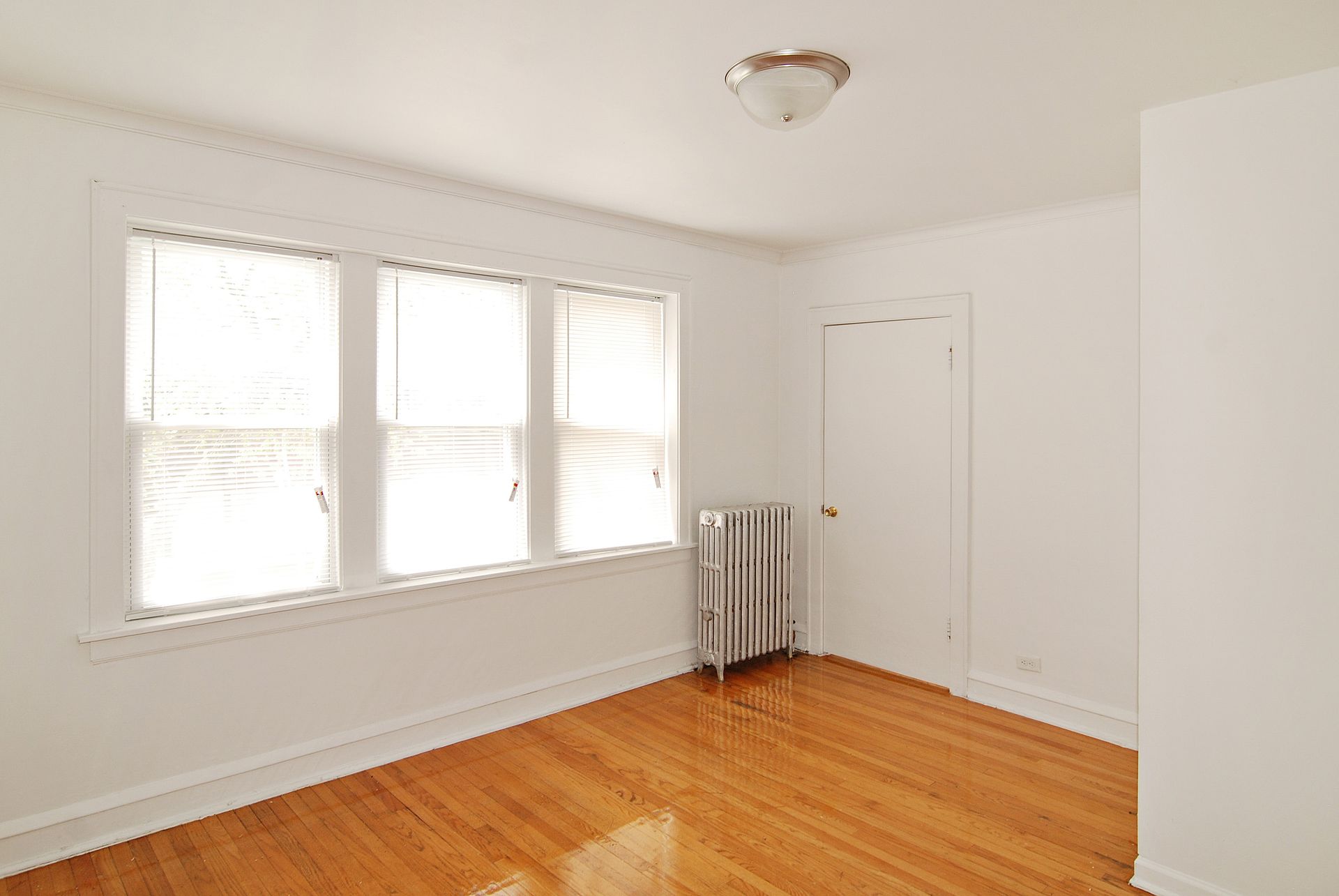 Empty room with hardwood floors, a radiator, and a window with natural light.