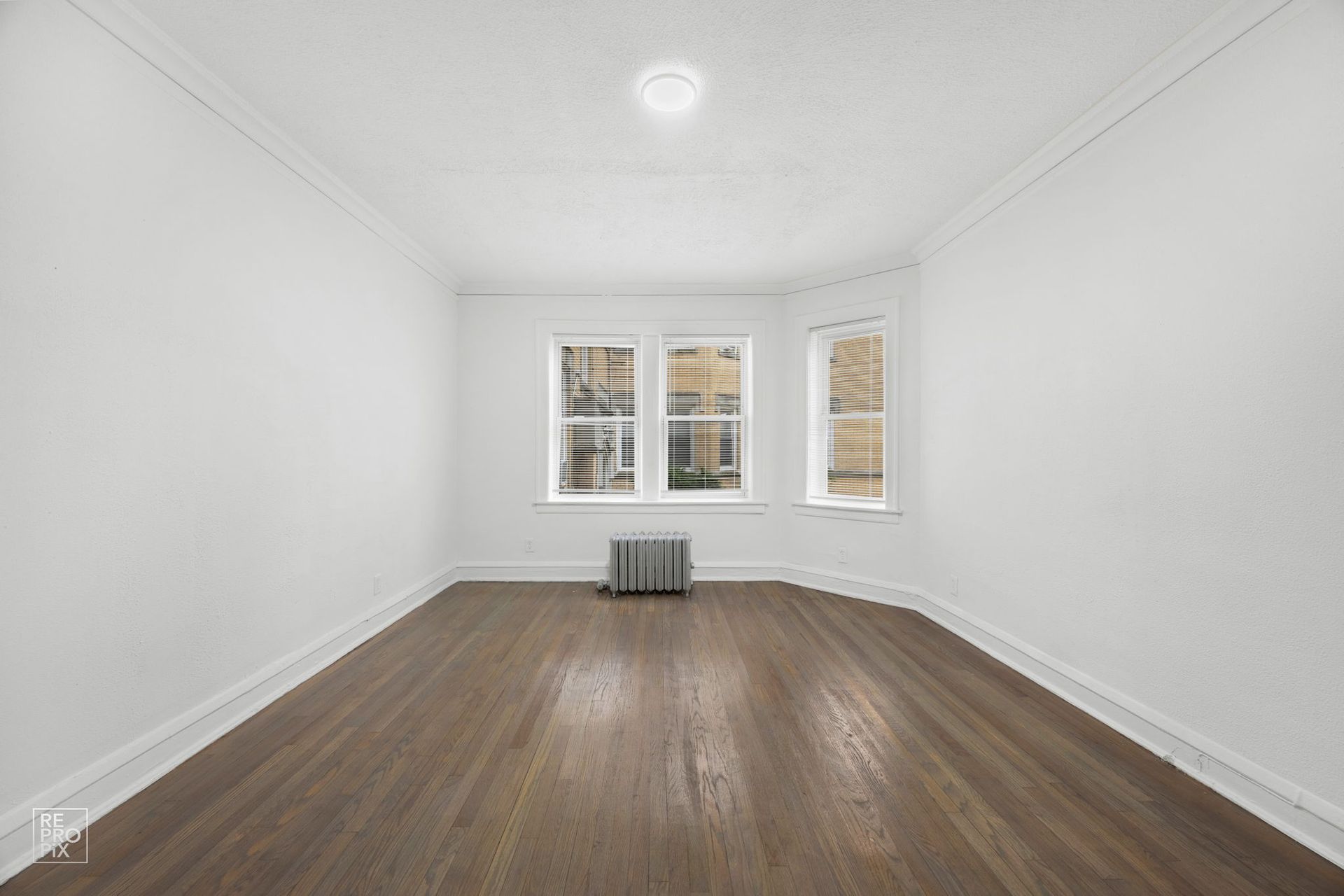 Empty room with wood floor, white walls, three windows, and a radiator.