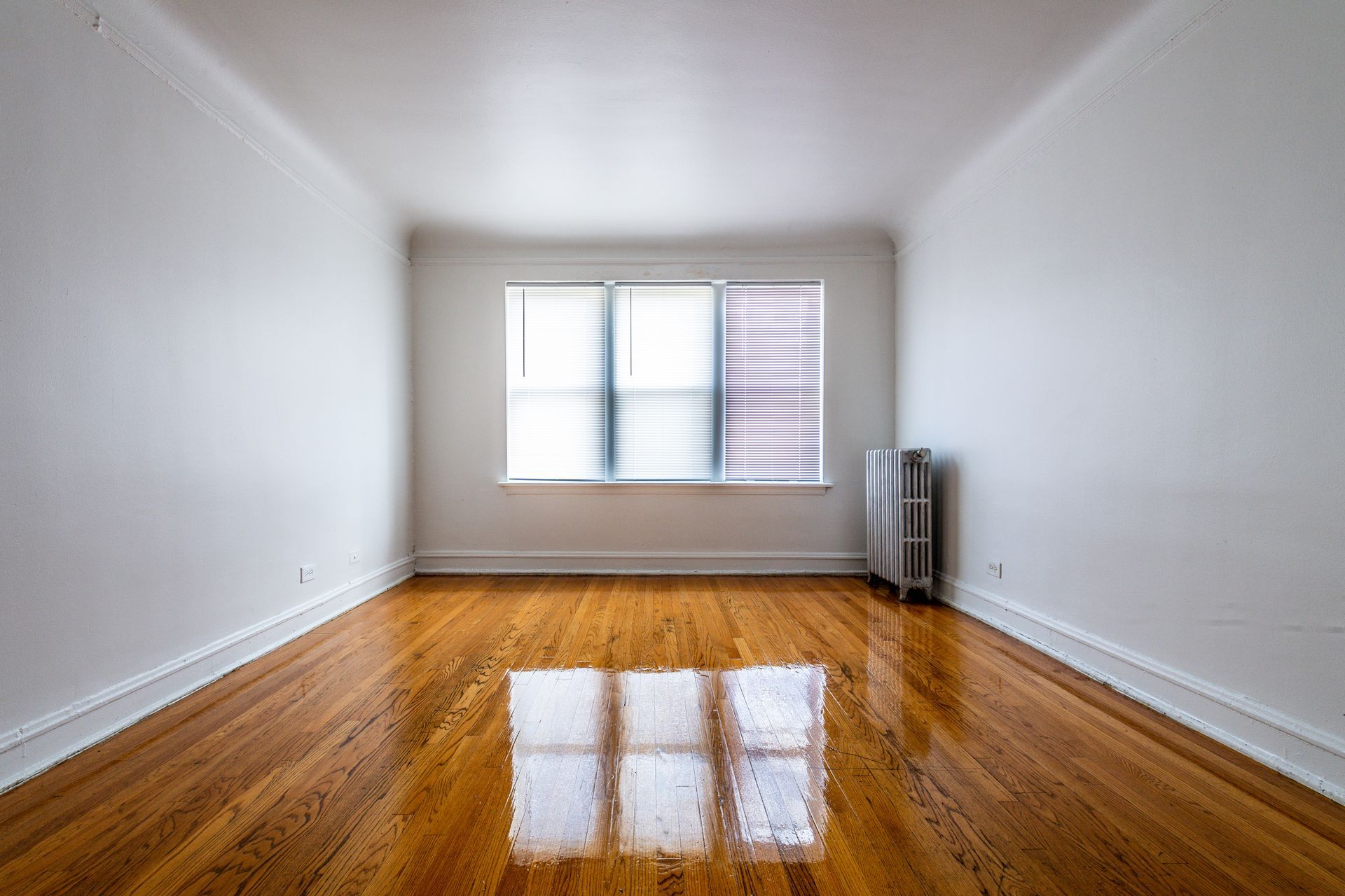 Empty room with hardwood floors, a window with shades, and a radiator.