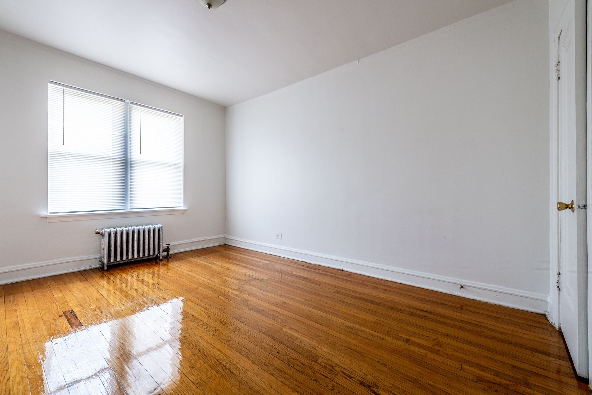 Empty room with hardwood floors, a window with blinds, and a radiator.