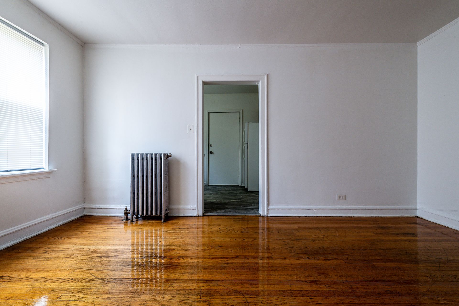 Empty room with hardwood floors, radiator, door, and a window.