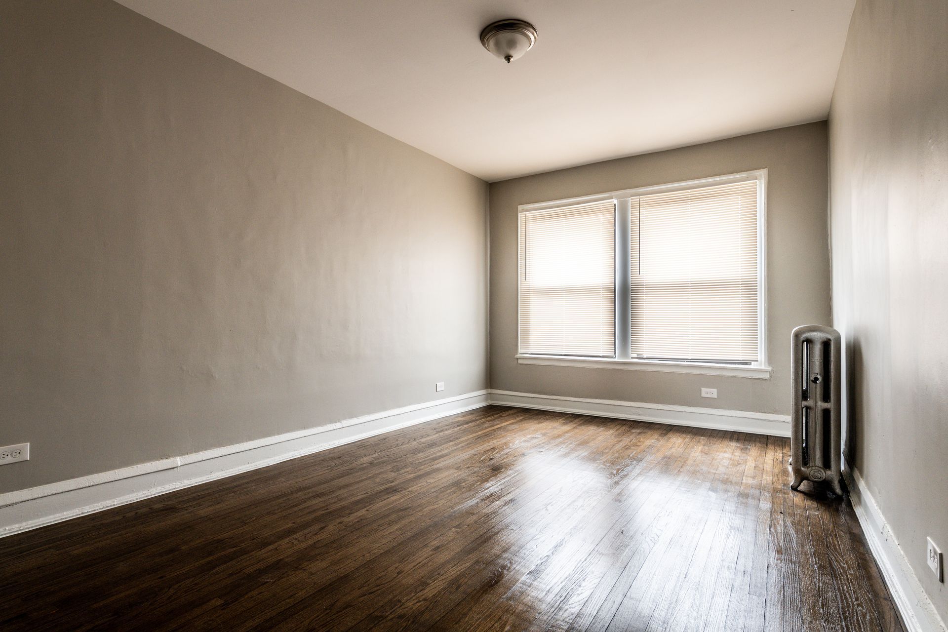 Empty room with wood floor, gray walls, window with blinds, and radiator.