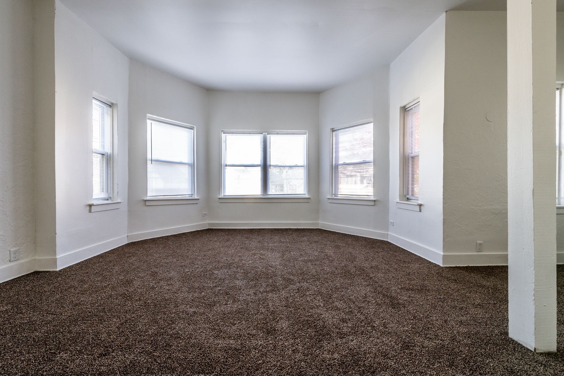 Empty room with brown carpet, white walls, and multiple windows.
