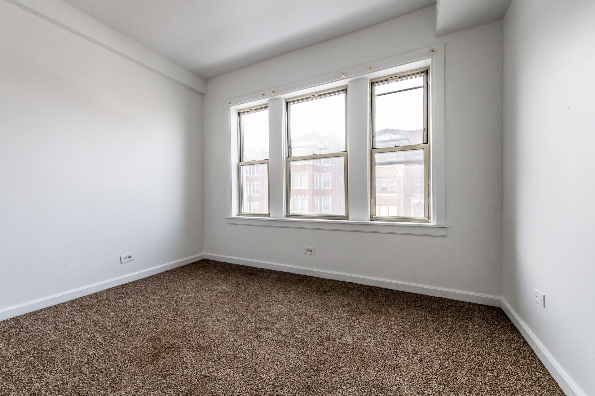 Empty room with brown carpet, three windows, and white walls.