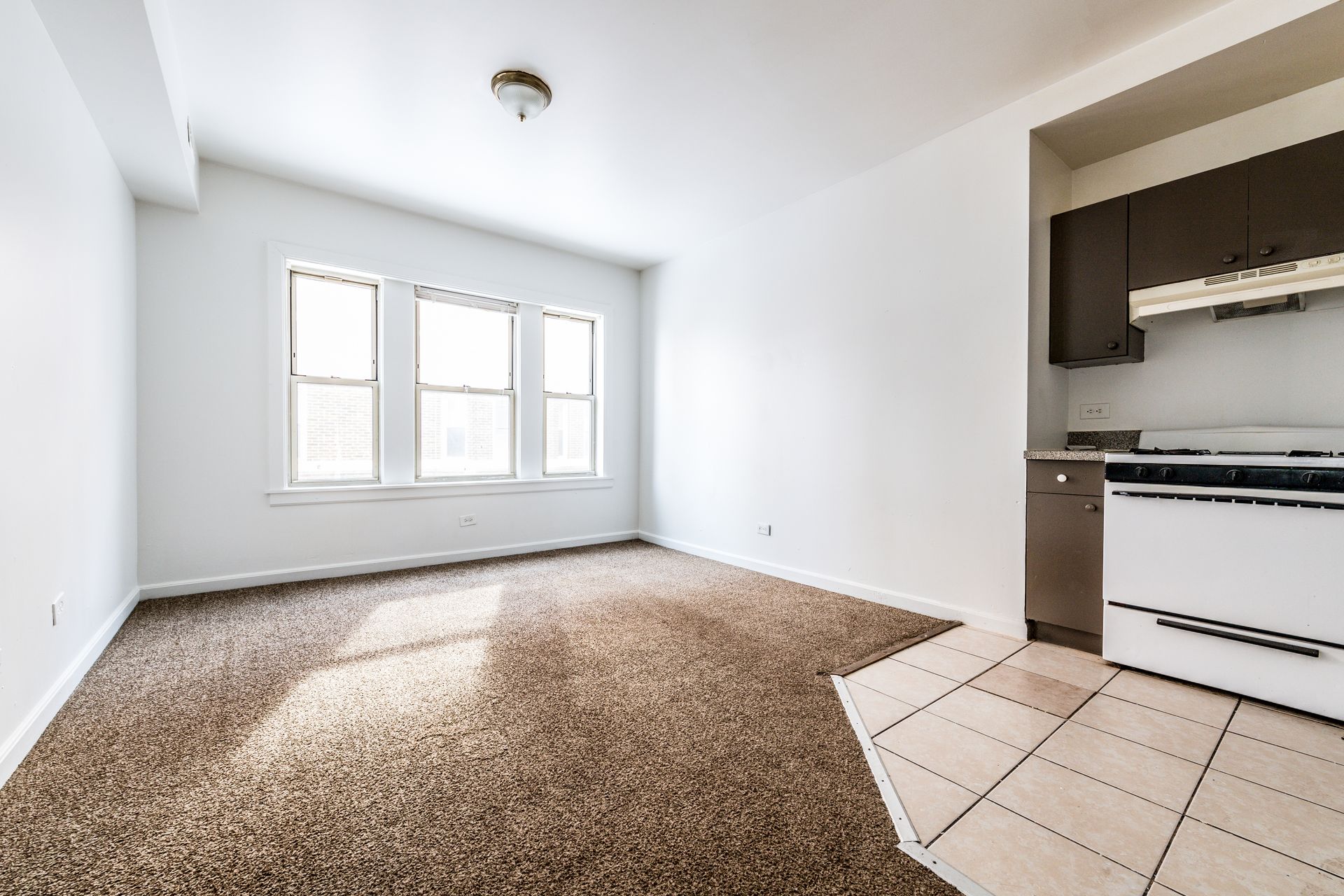 Empty apartment interior with brown carpet, kitchen, and large windows.