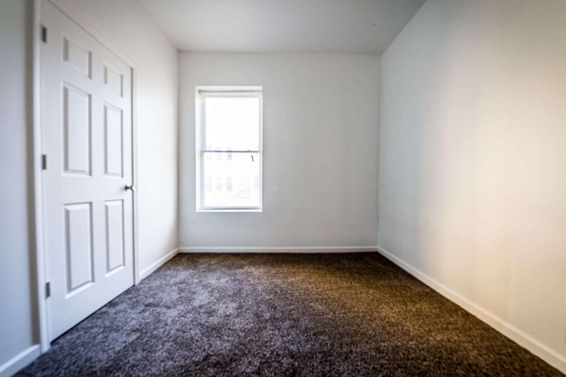 Empty room with white walls, door, window, and brown carpet.