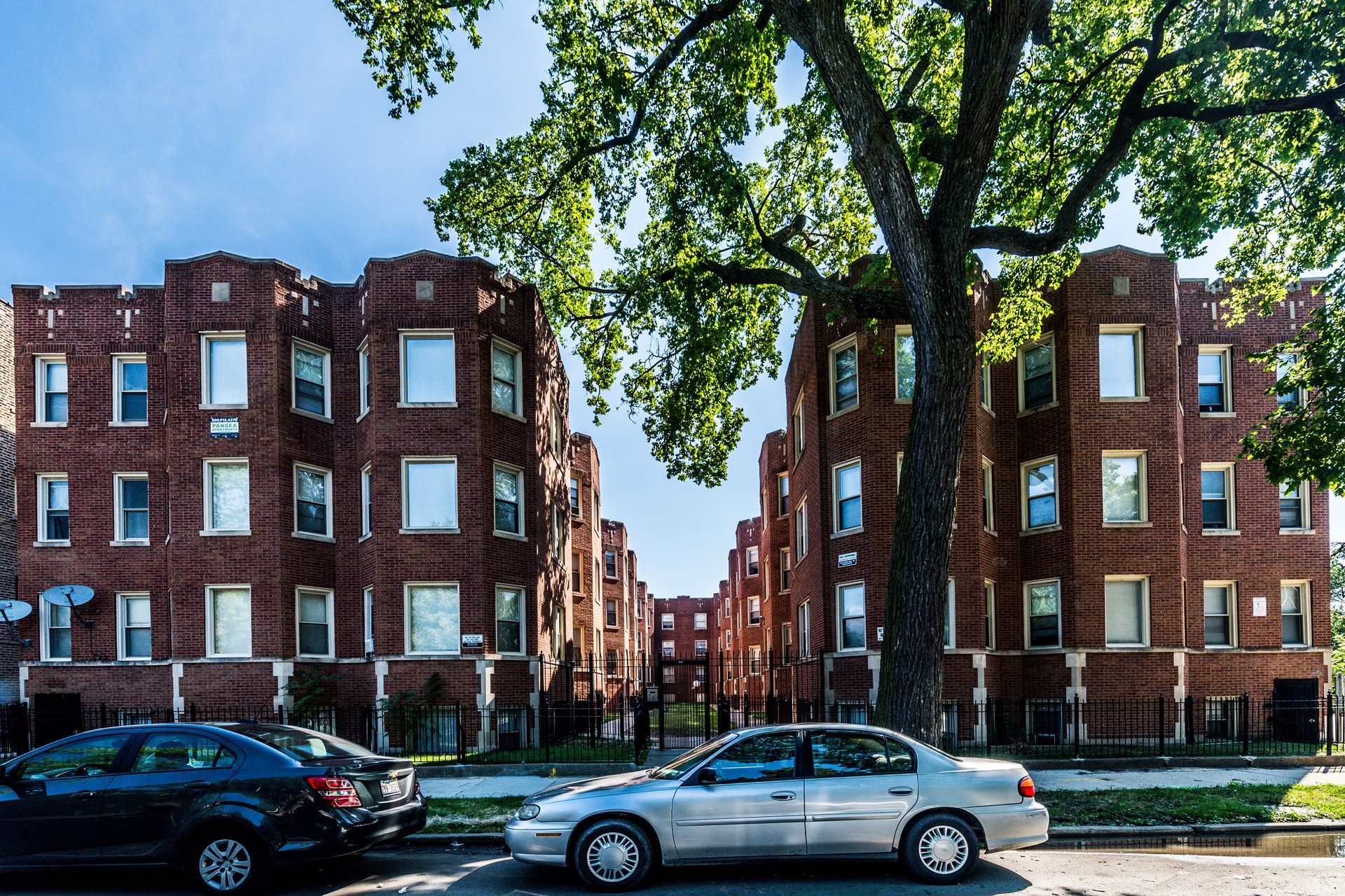 Red brick apartment buildings with cars parked on a street; a large tree is in the foreground.