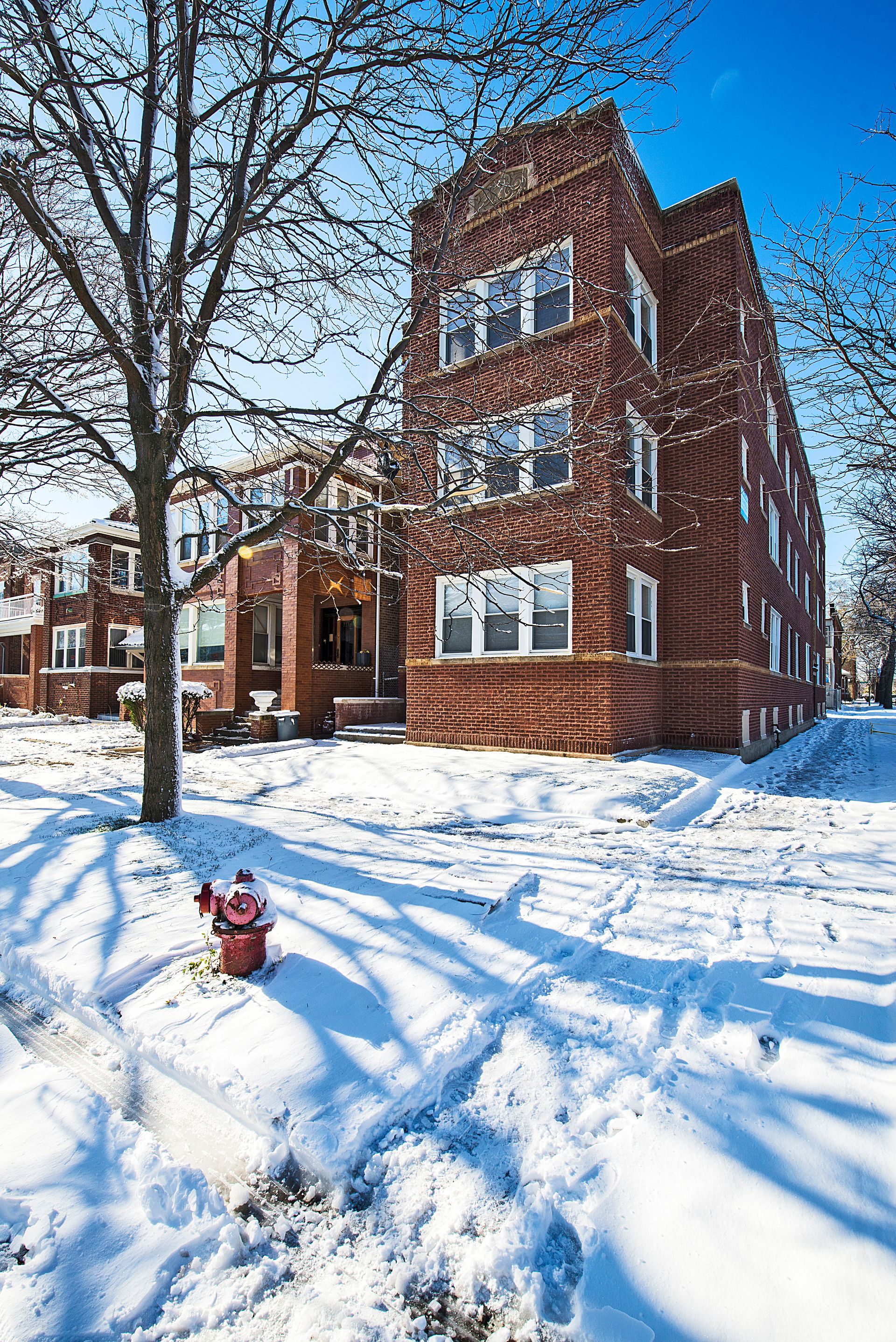 Snowy street scene with a red brick apartment building and a tree. A fire hydrant is in the foreground.