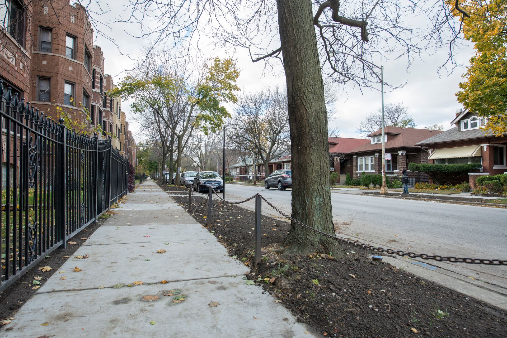 Sidewalk with black fence, street, and houses. Tree in foreground. Overcast sky.