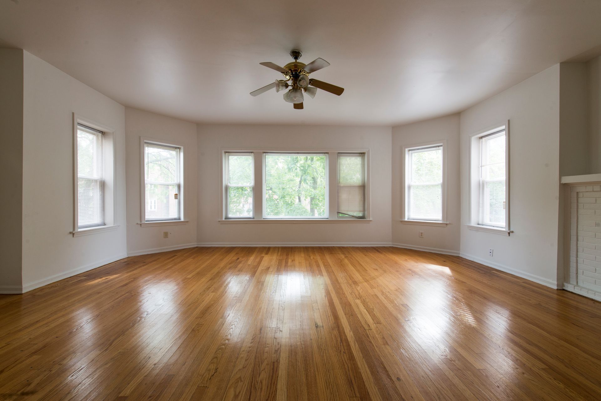 Empty, sunlit room with hardwood floors, curved wall with windows, and a ceiling fan.