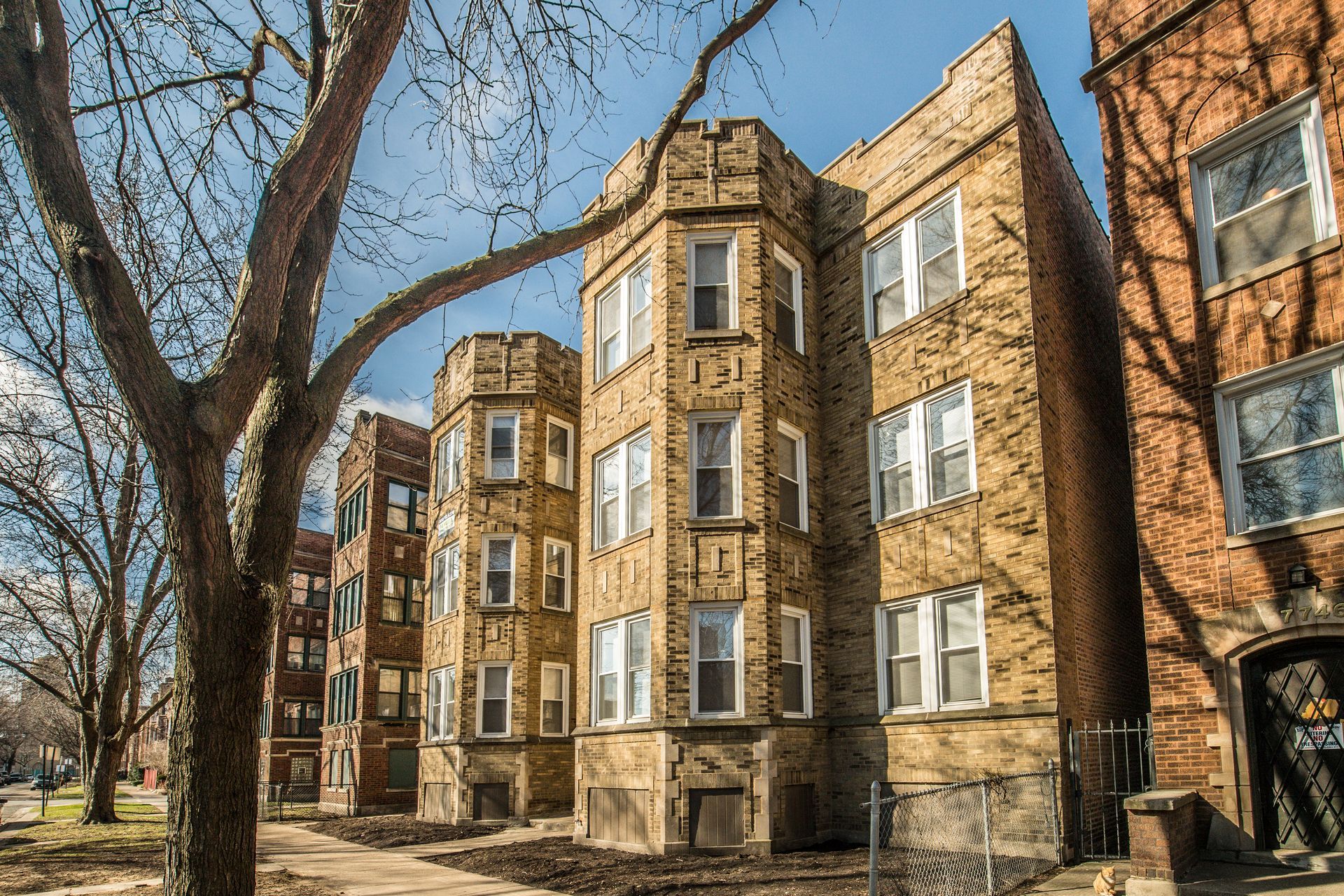 Apartment buildings with brick exteriors and arched windows; tree in the foreground.