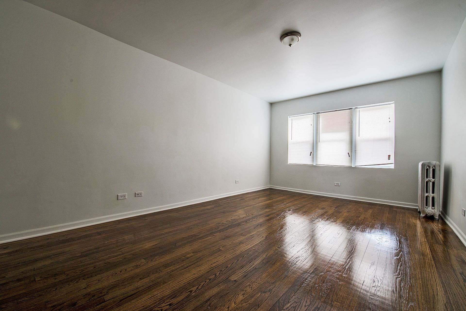 Empty room with dark wood floor, light gray walls, window, and radiator.