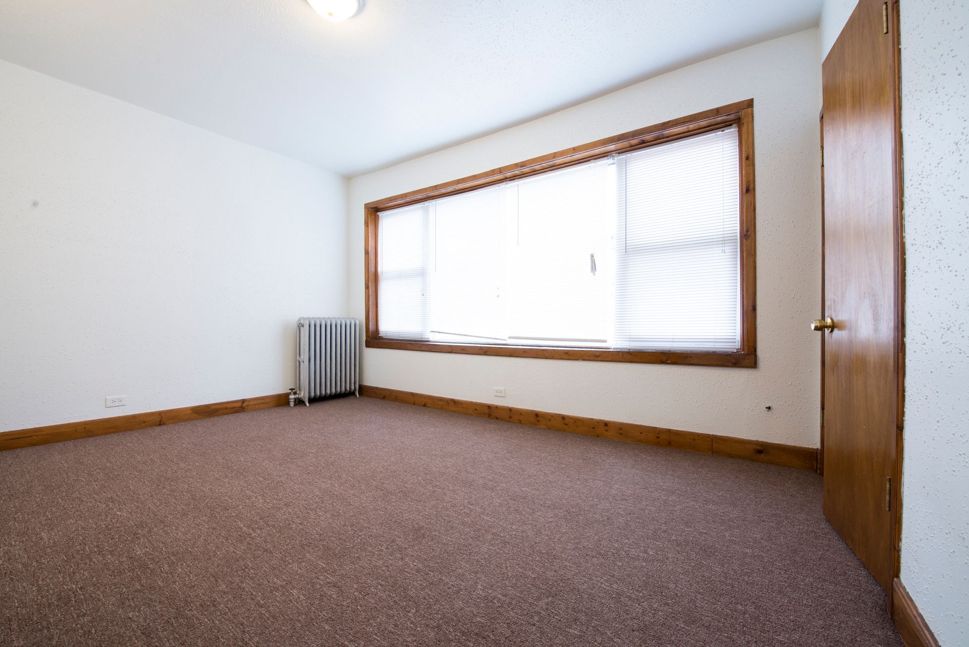 Empty room with brown carpet, radiator, window with blinds, and wooden door.