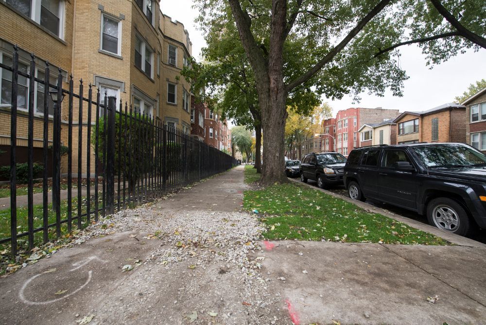 Sidewalk with black fence, trees, grass, parked cars, and brick buildings.