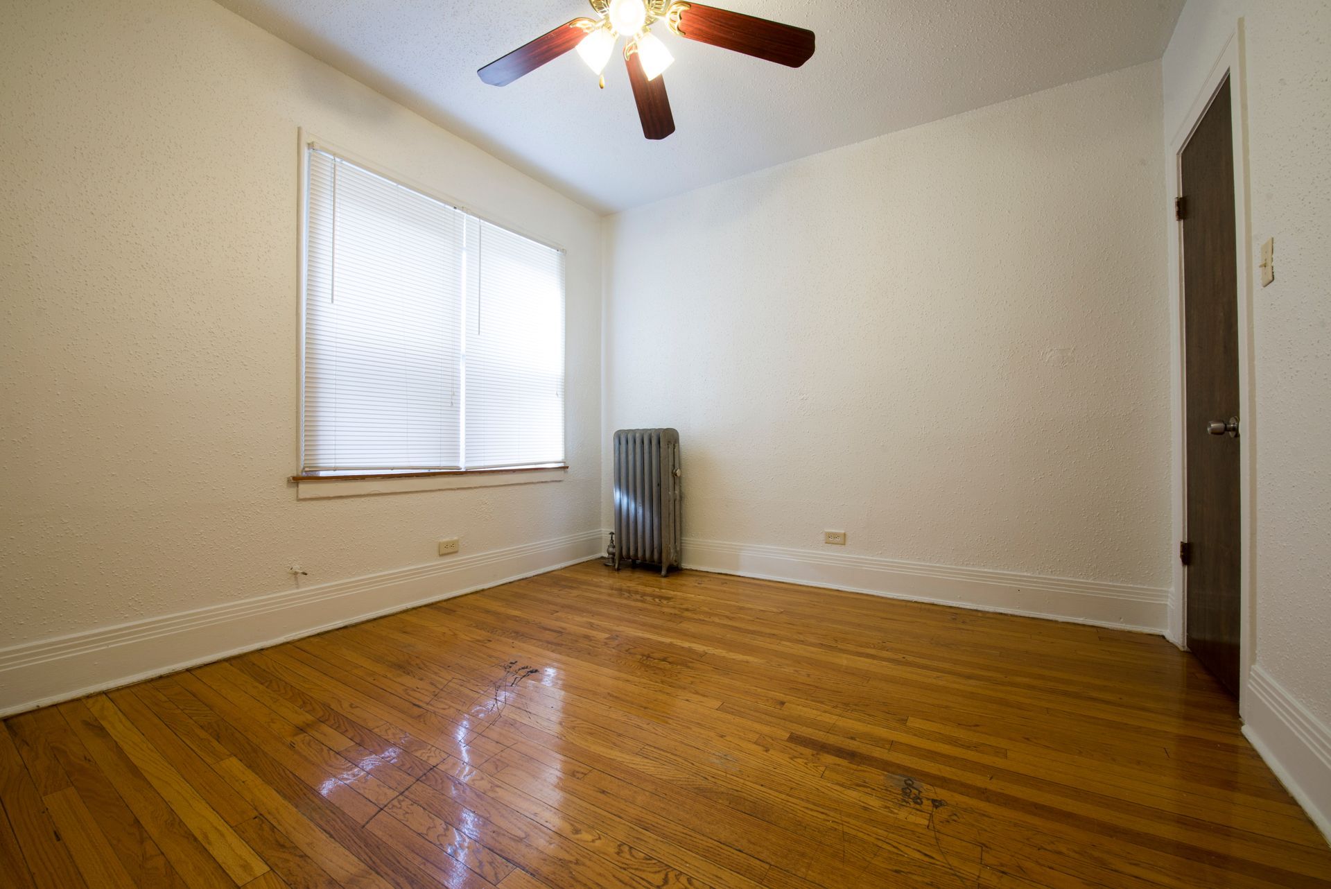 Empty room with hardwood floors, a window with blinds, and a radiator. Ceiling fan is visible.