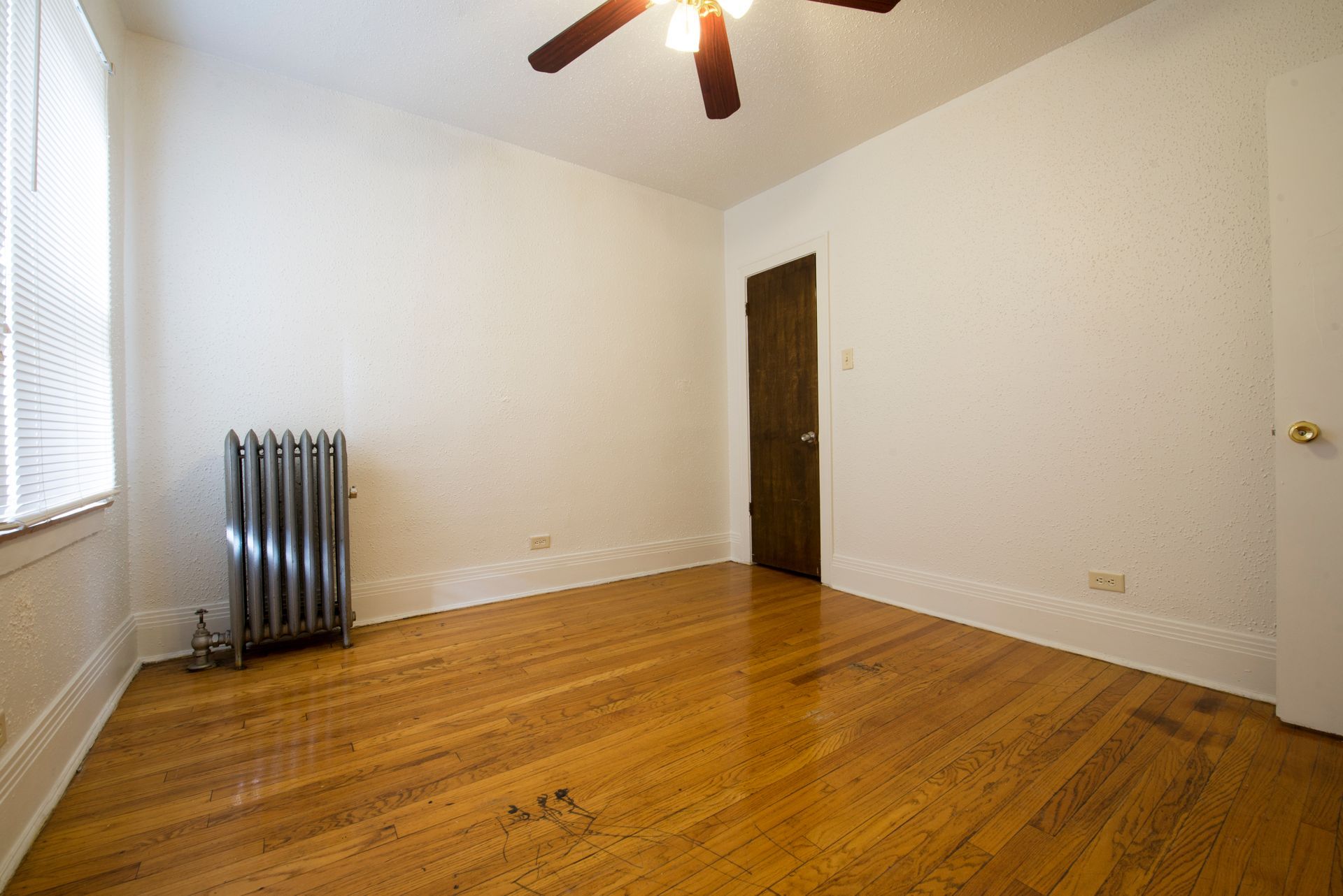 Empty room with hardwood floors, white walls, radiator, and a brown door.