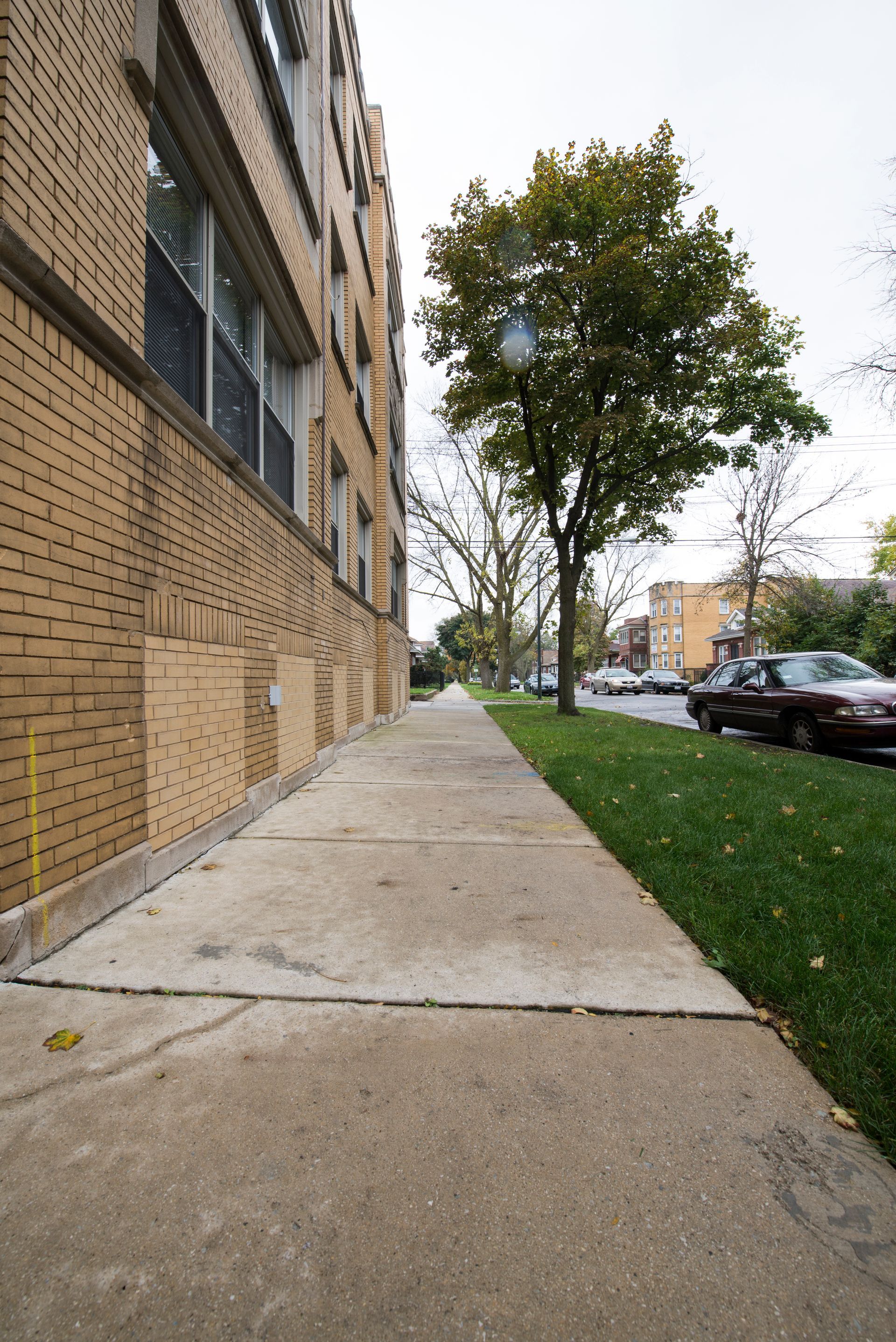 Sidewalk next to a brick building and a green lawn with a tree, cars parked on street.