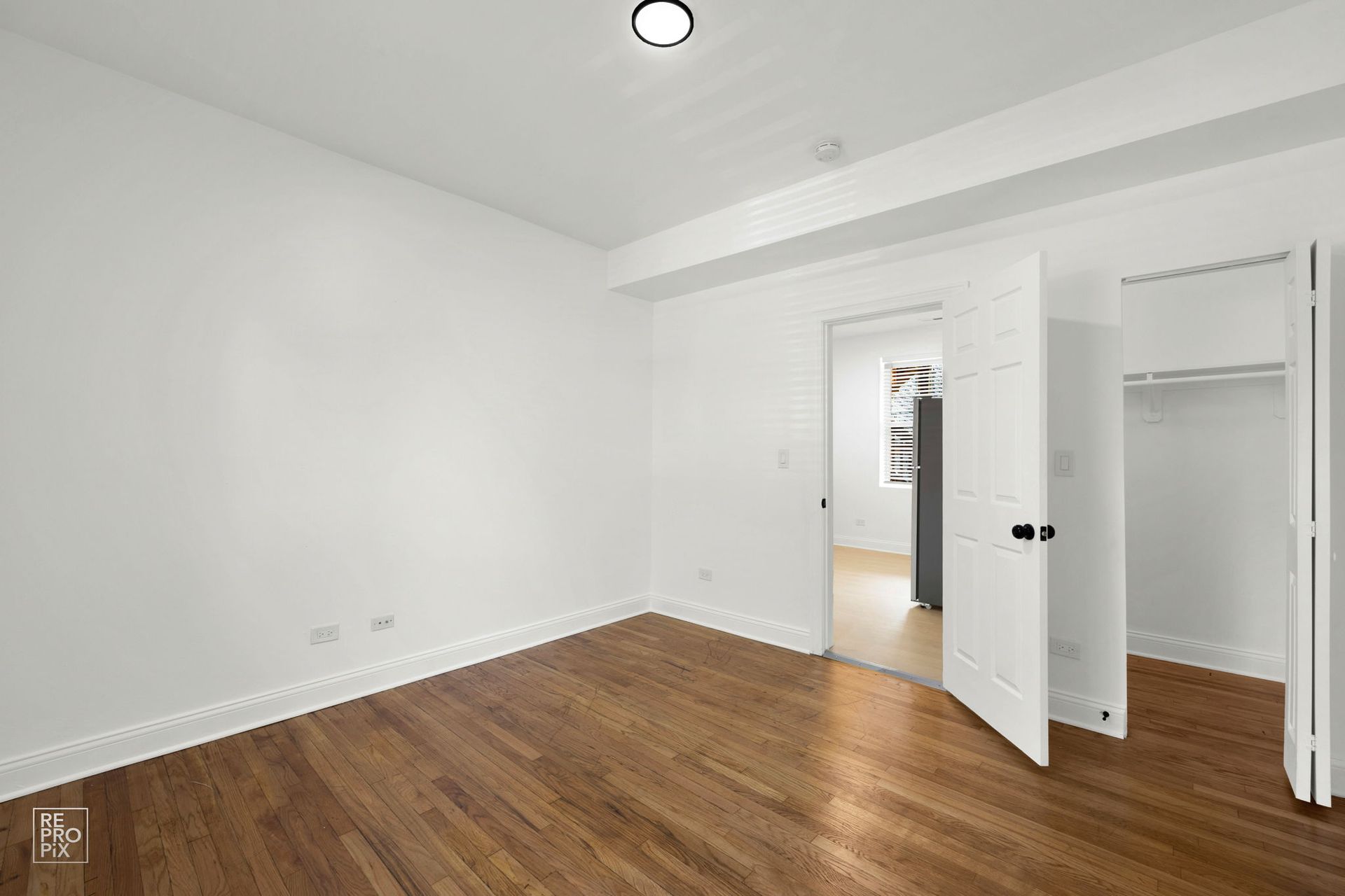 Empty room with hardwood floors, white walls, and open doors to a closet and hallway.