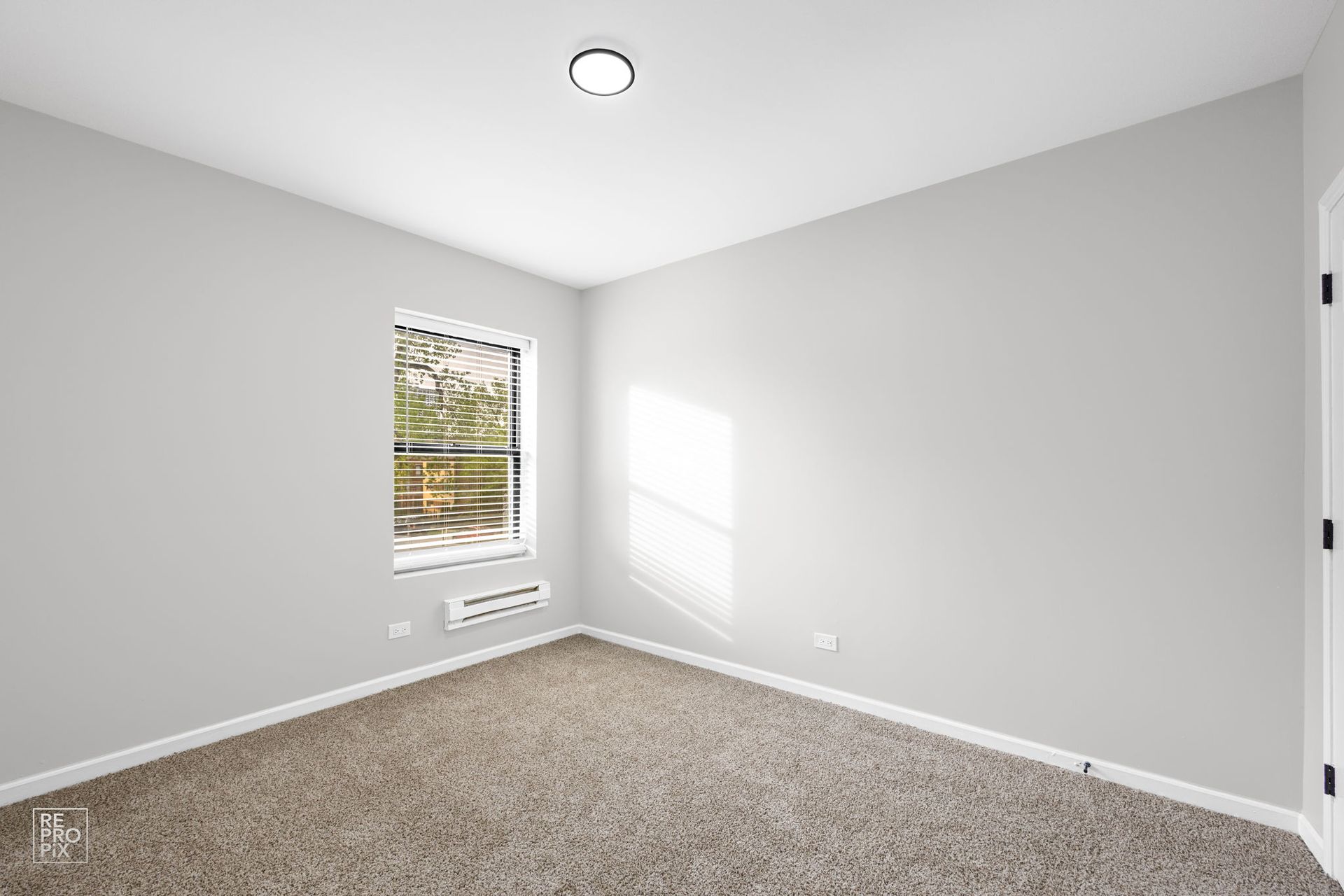 Empty room with gray walls, window, and carpet.