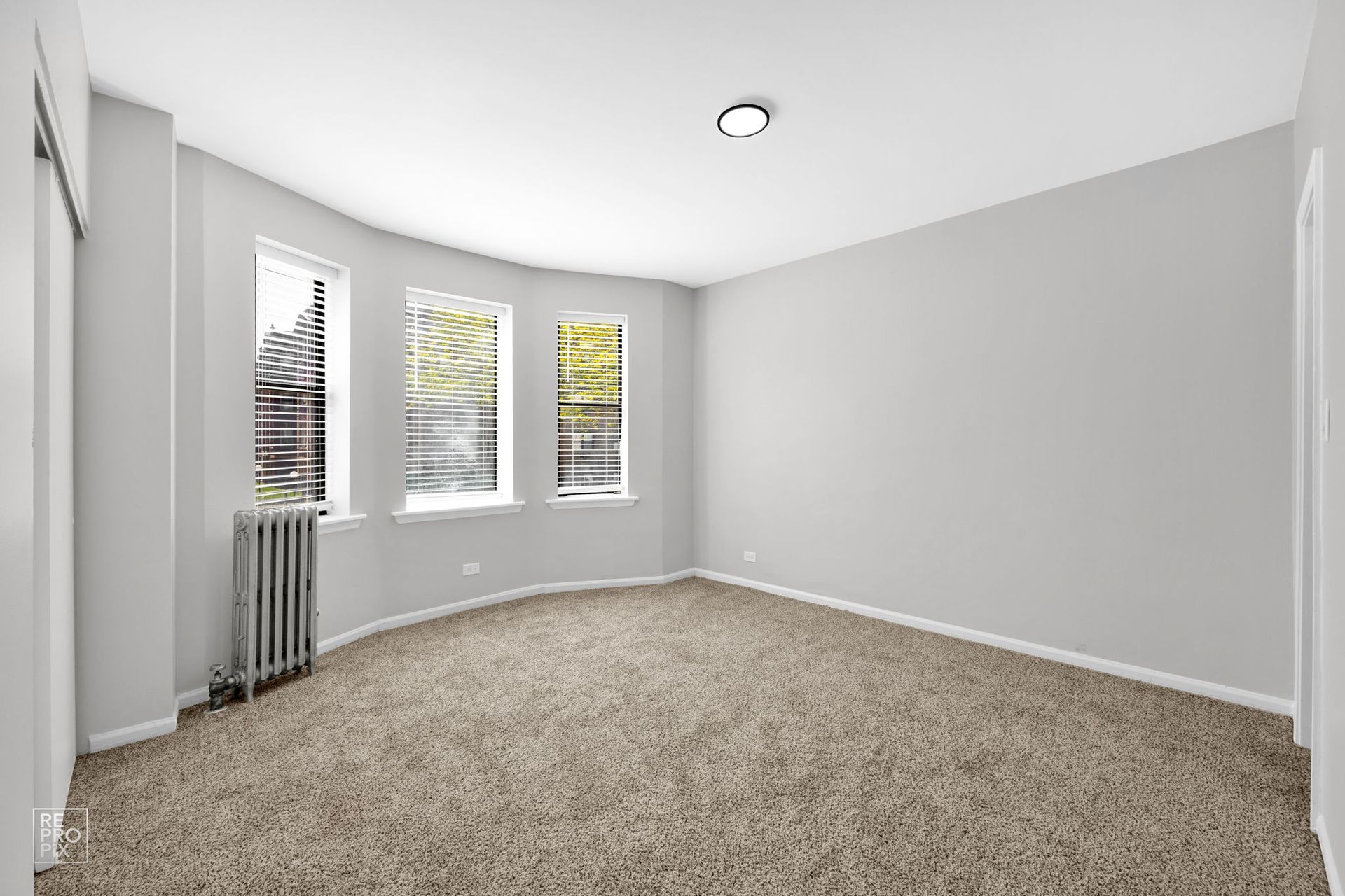 Empty room with tan carpet, gray walls, three windows, radiator, and a ceiling light.