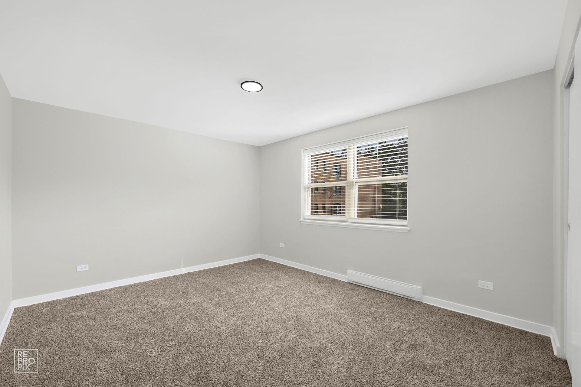 Empty bedroom with gray walls, brown carpet, and a window.