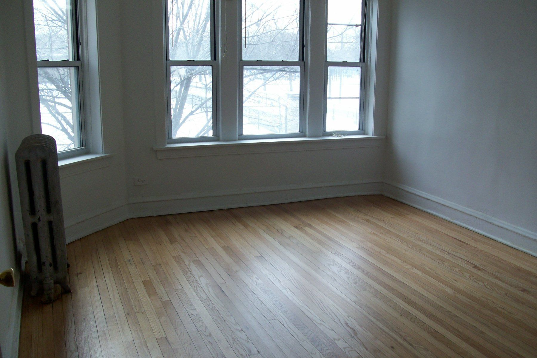 Empty room with wood floor, radiator, and windows with outdoor view.